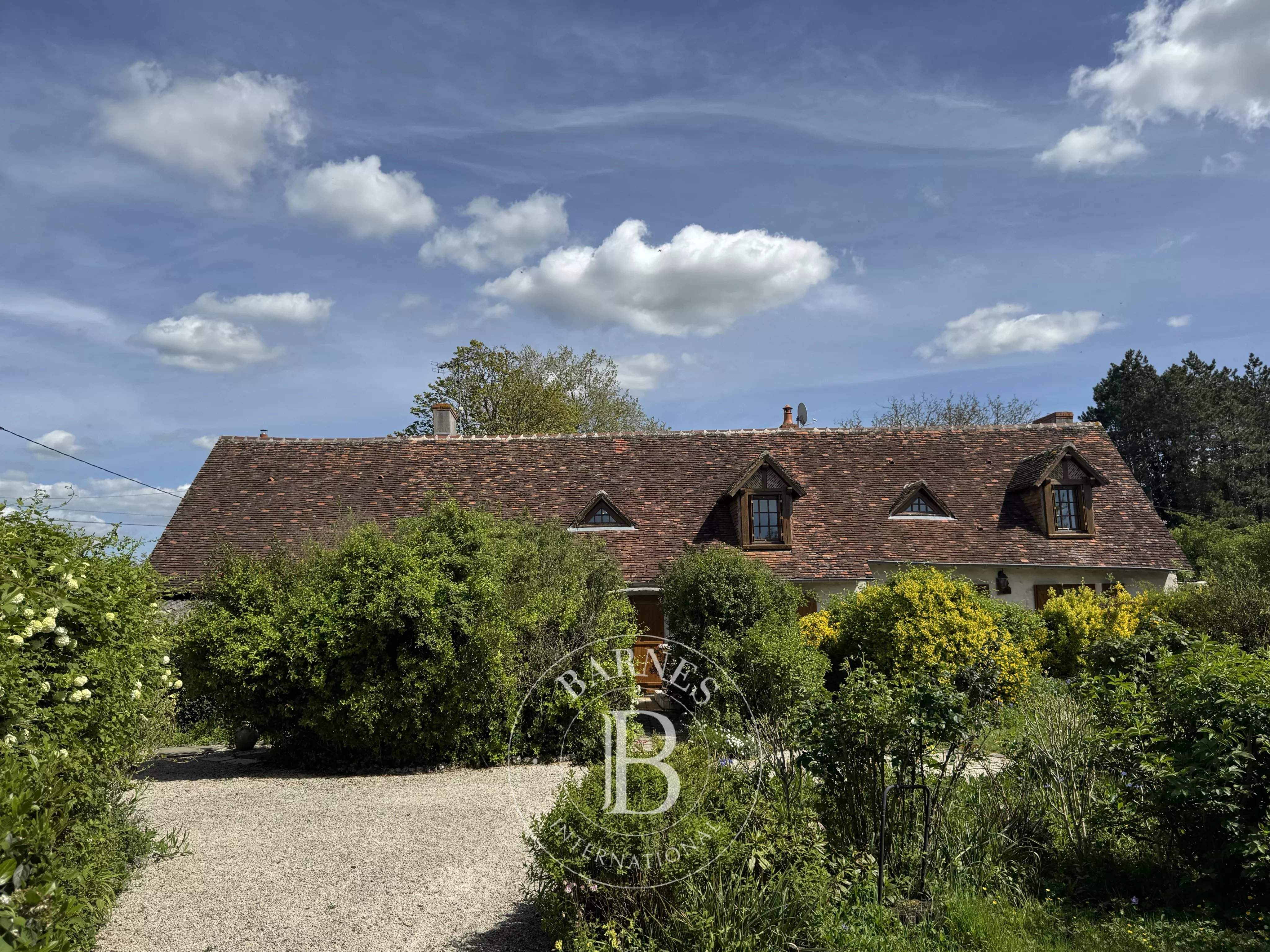 Cour-Cheverny  - Maison de village 7 Pi&egrave;ces 3 Chambres - picture 10