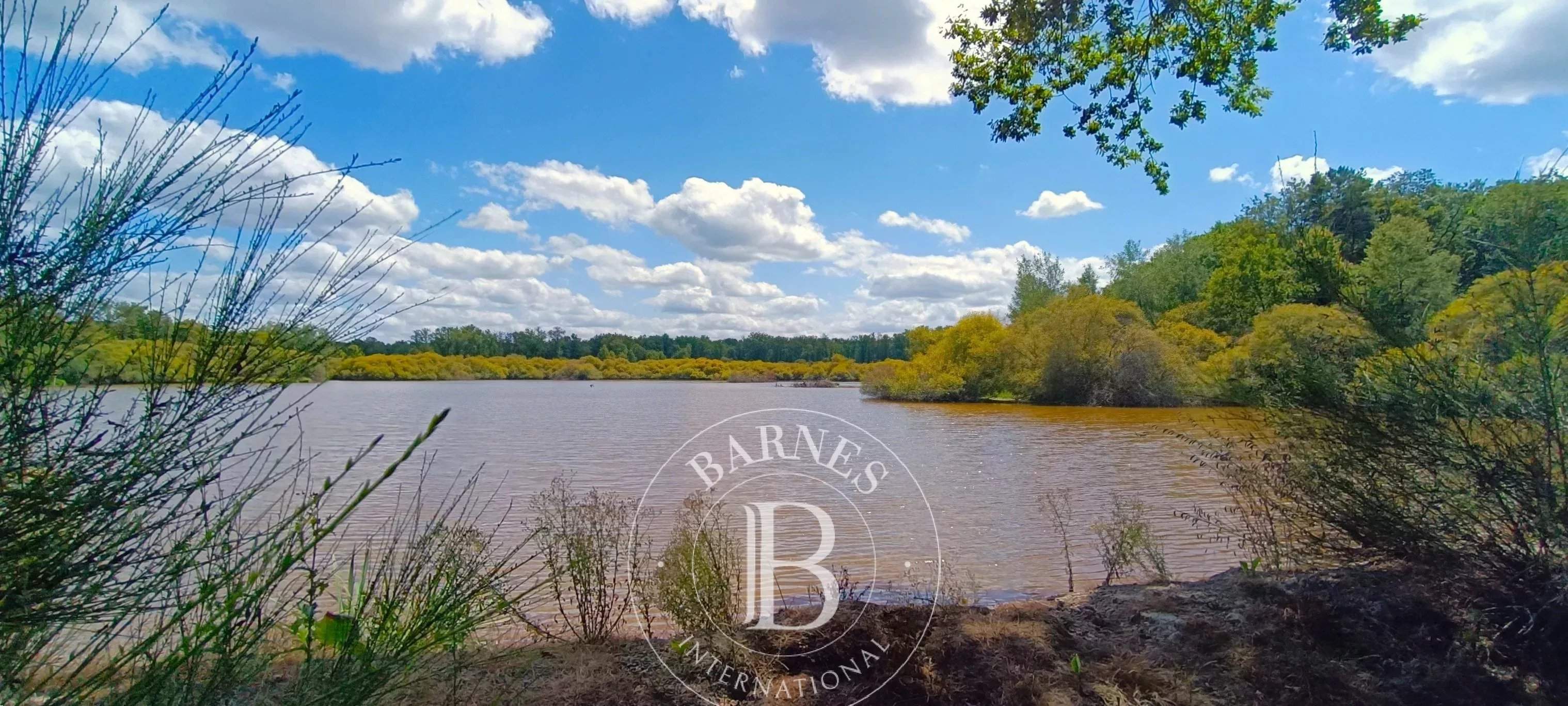 Lamotte-Beuvron  - Domaine de chasse 7 Pi&egrave;ces 4 Chambres - picture 15