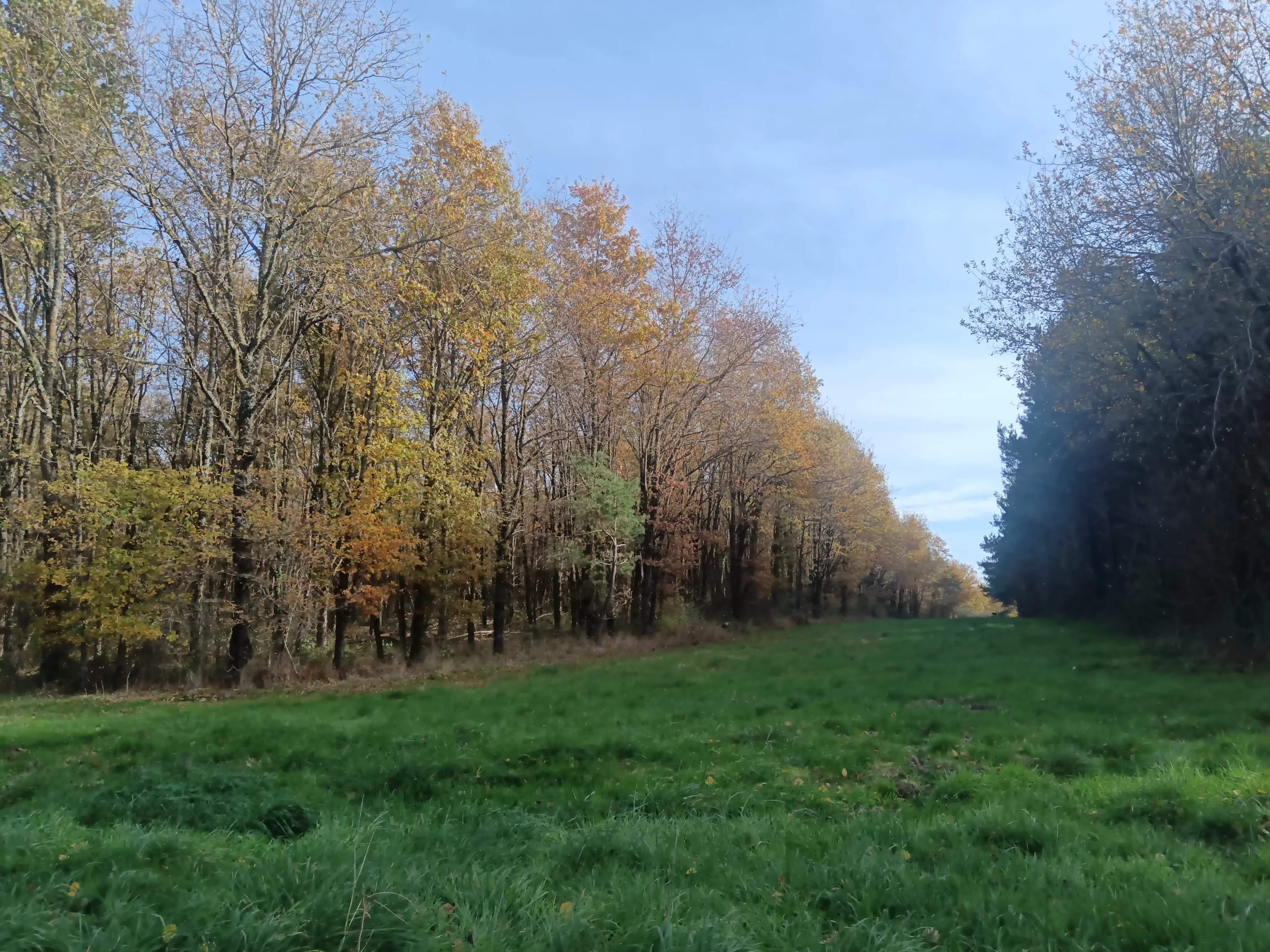 Lusigny  - Propriété 10 Pi&egrave;ces 4 Chambres - picture 13