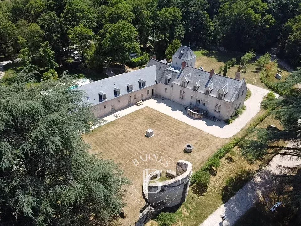 Cellettes  - Castle  - picture 3