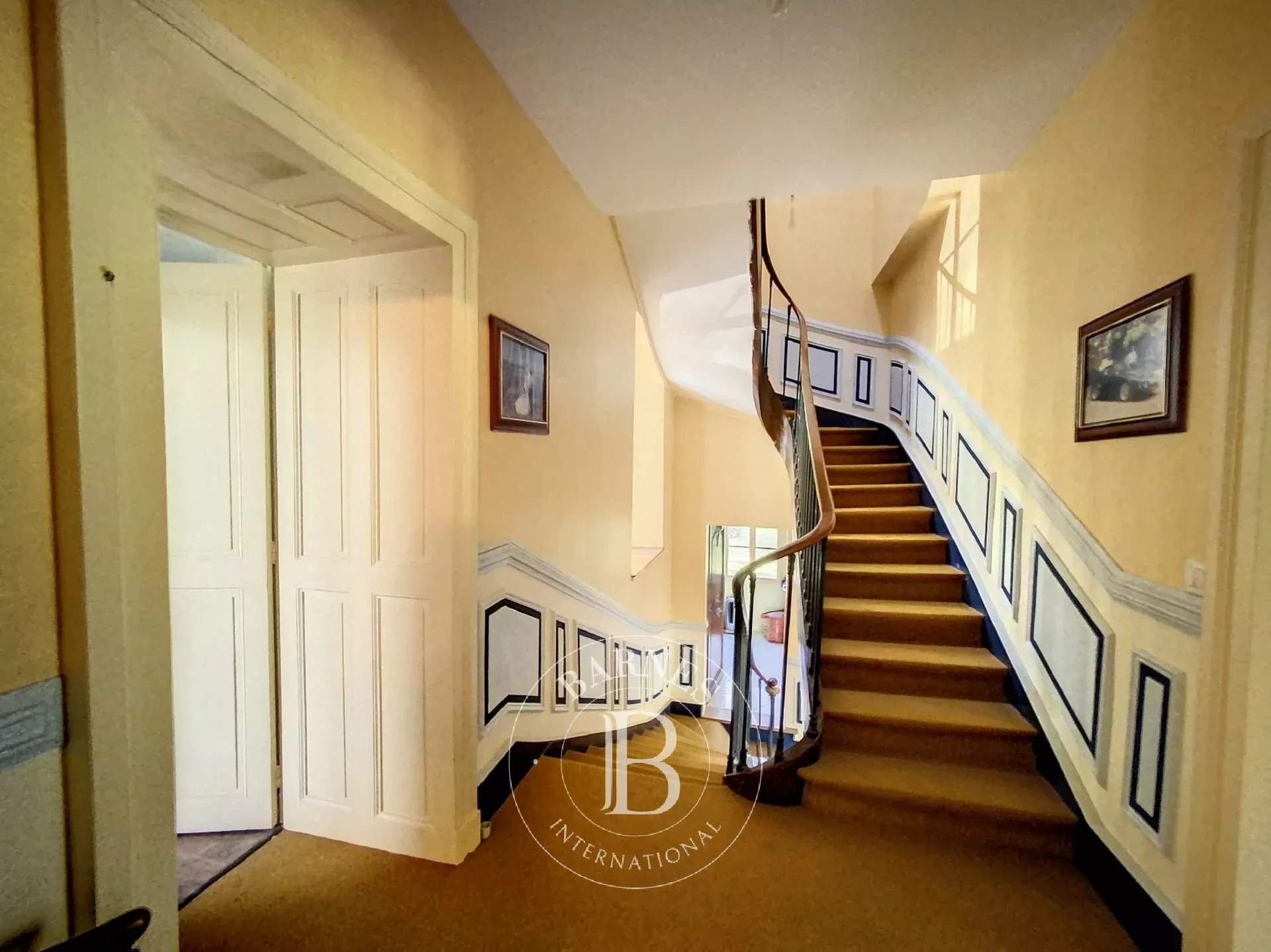 Le Blanc  - Manor house 7 Bedrooms - picture 8