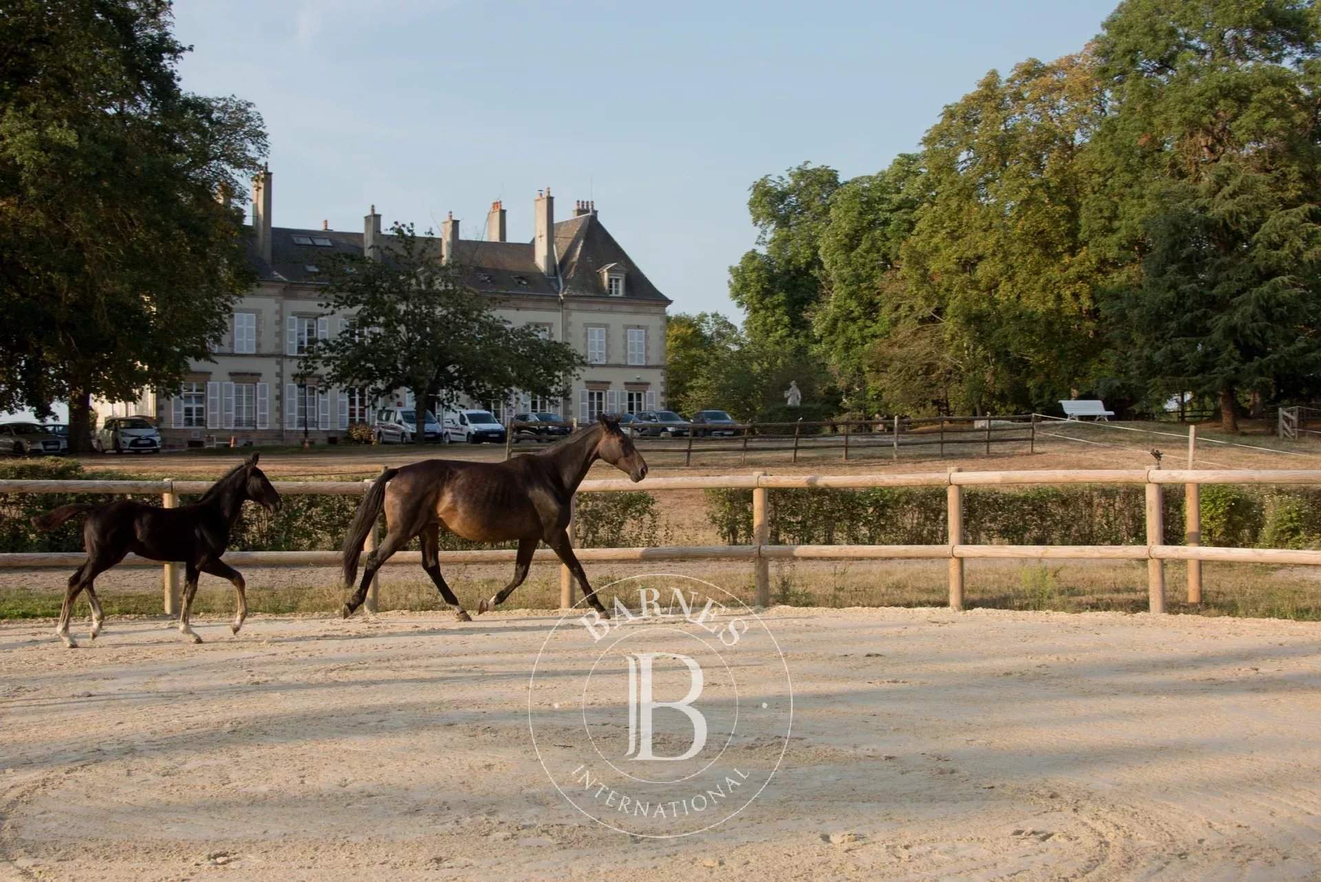 Ygrande  - Domaine équestre  - picture 20