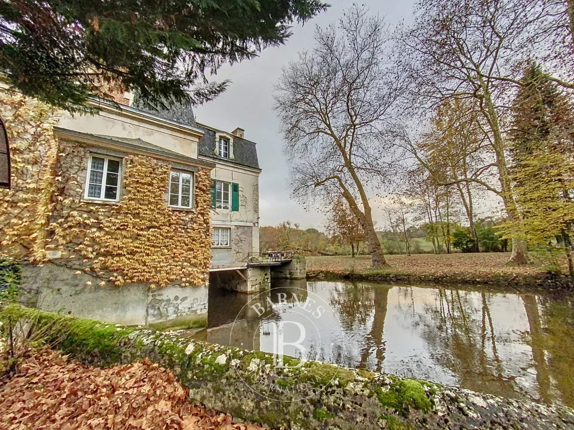 Le Blanc  - Manor house 7 Bedrooms - picture 17