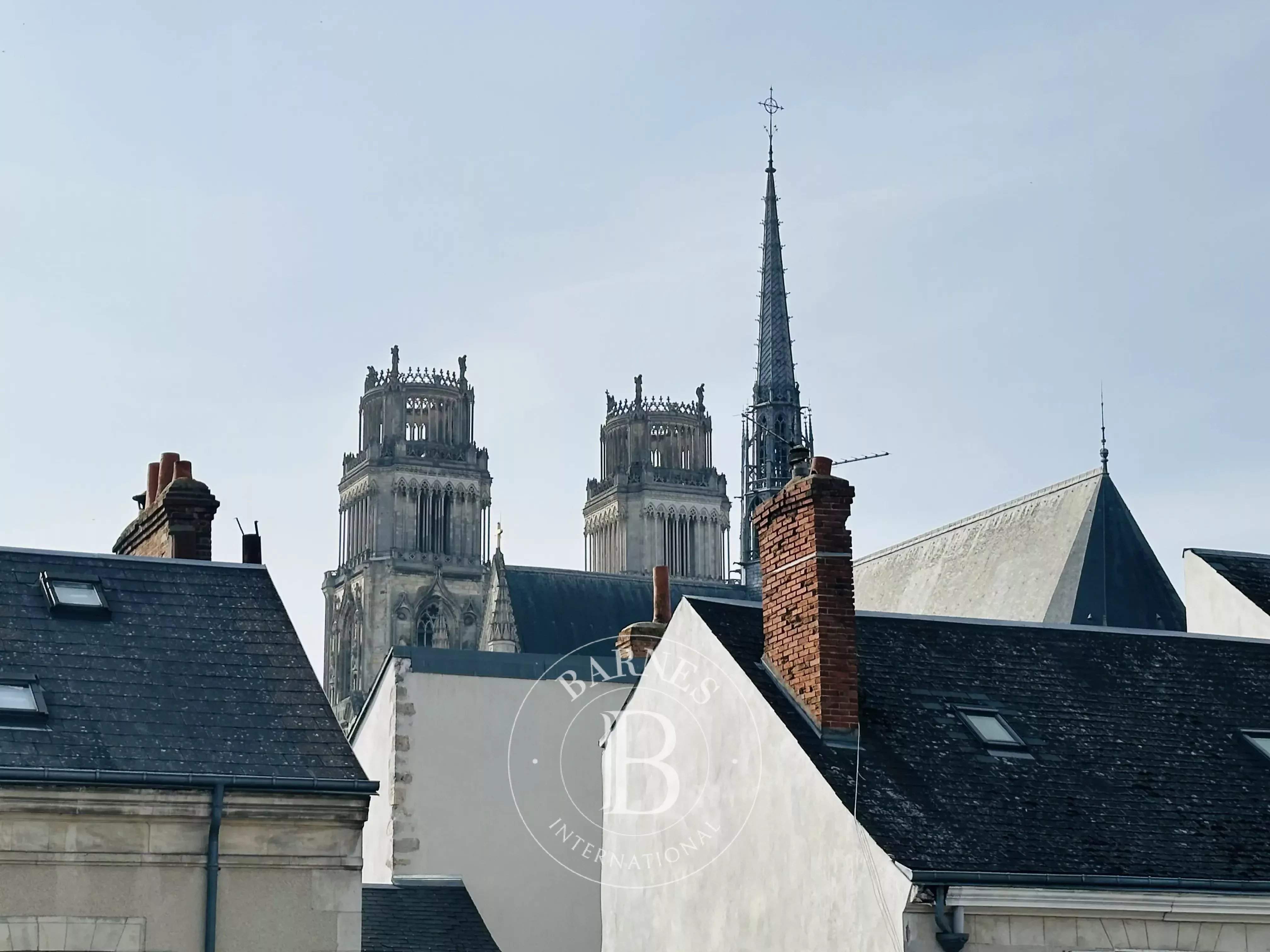 Orléans  - Hôtel particulier 9 Pi&egrave;ces 5 Chambres - picture 10