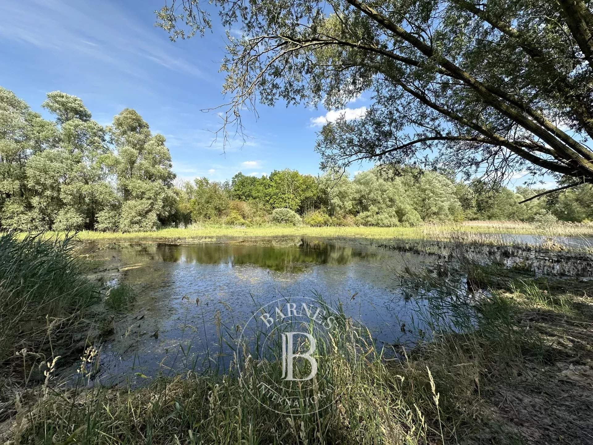 Villeneuve-sur-Conie  - House 8 Bedrooms - picture 16
