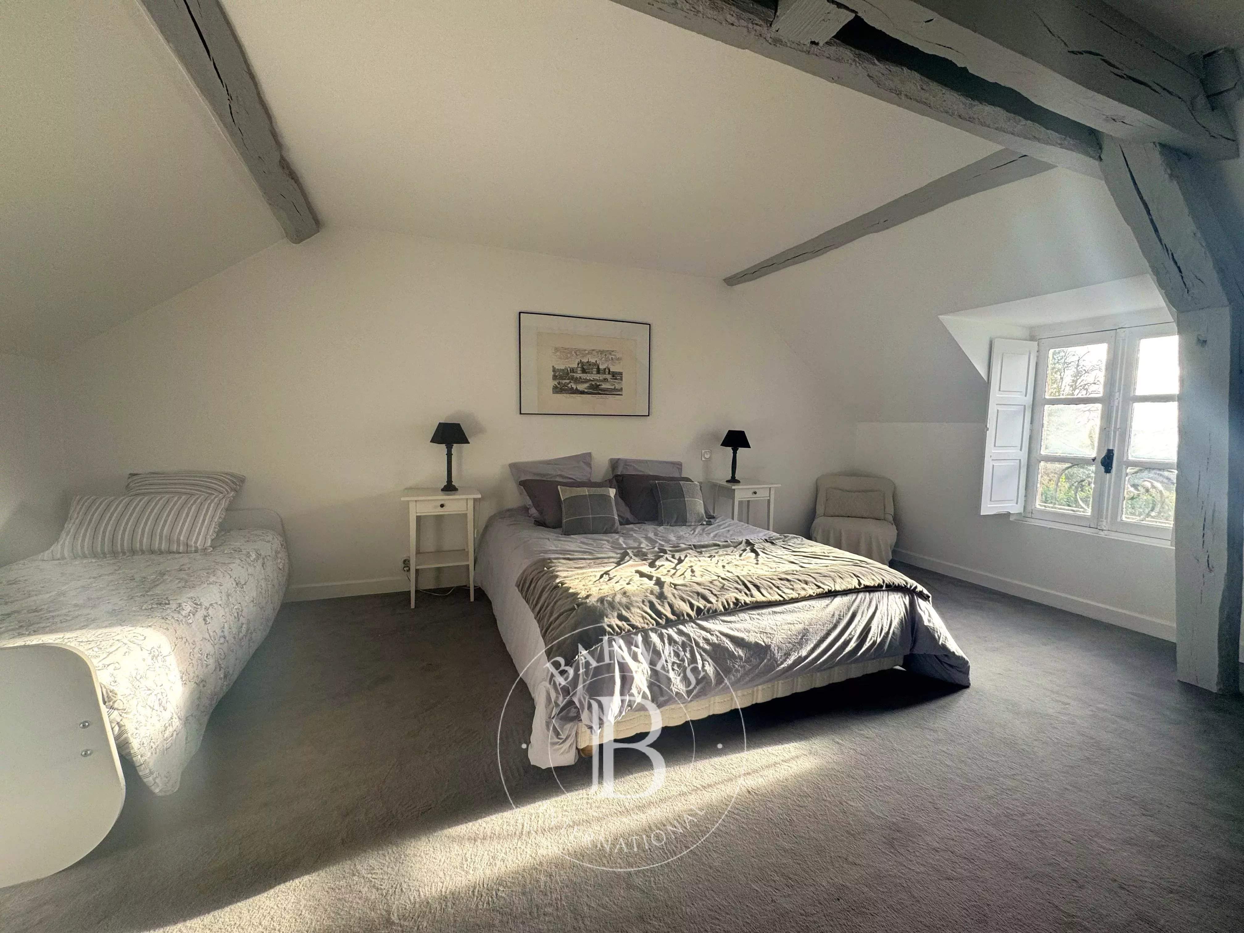 Blois  - Maison 12 Pi&egrave;ces 6 Chambres - picture 4