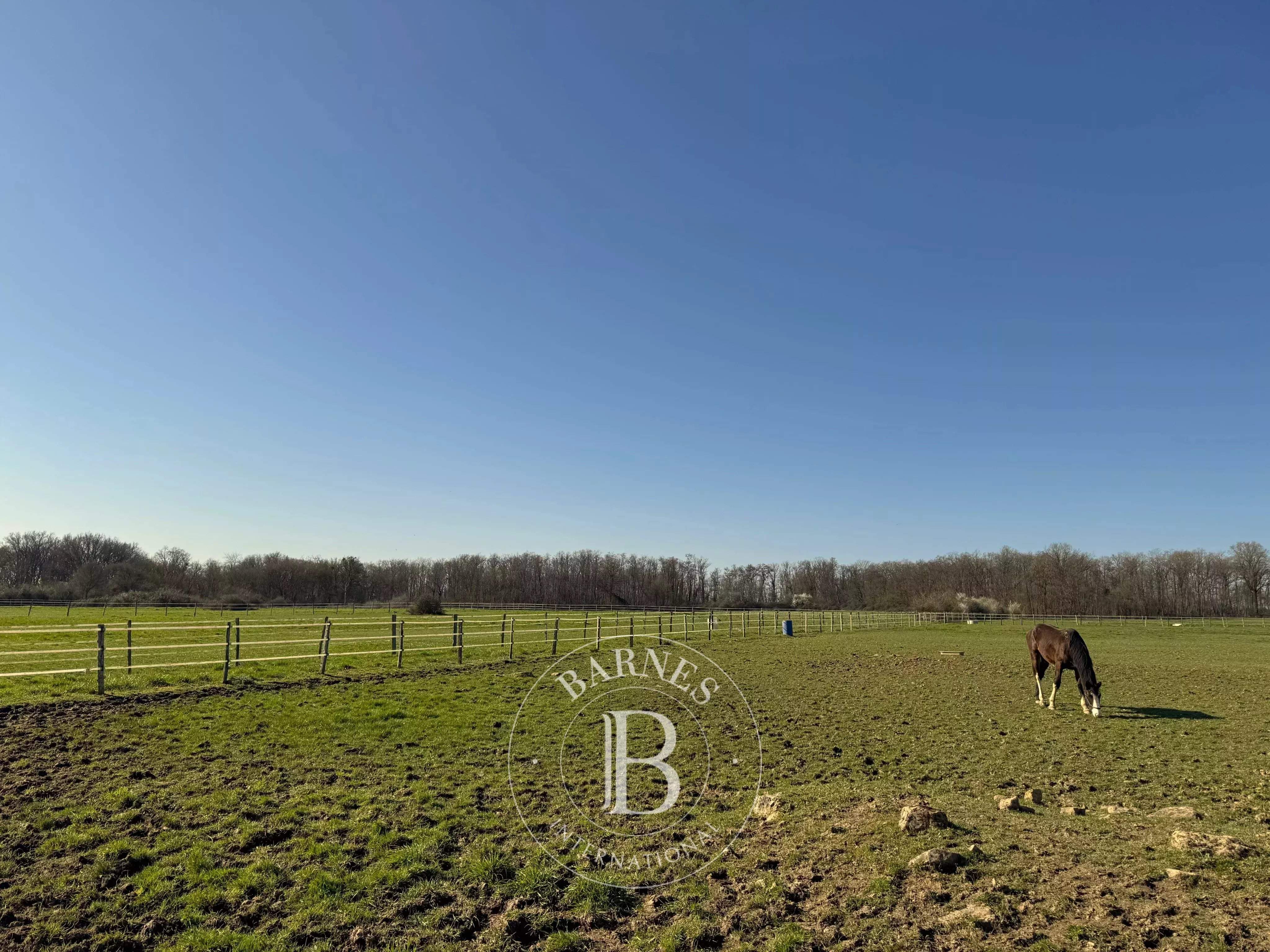 Graçay  - Domaine équestre 5 Pi&egrave;ces 3 Chambres - picture 5