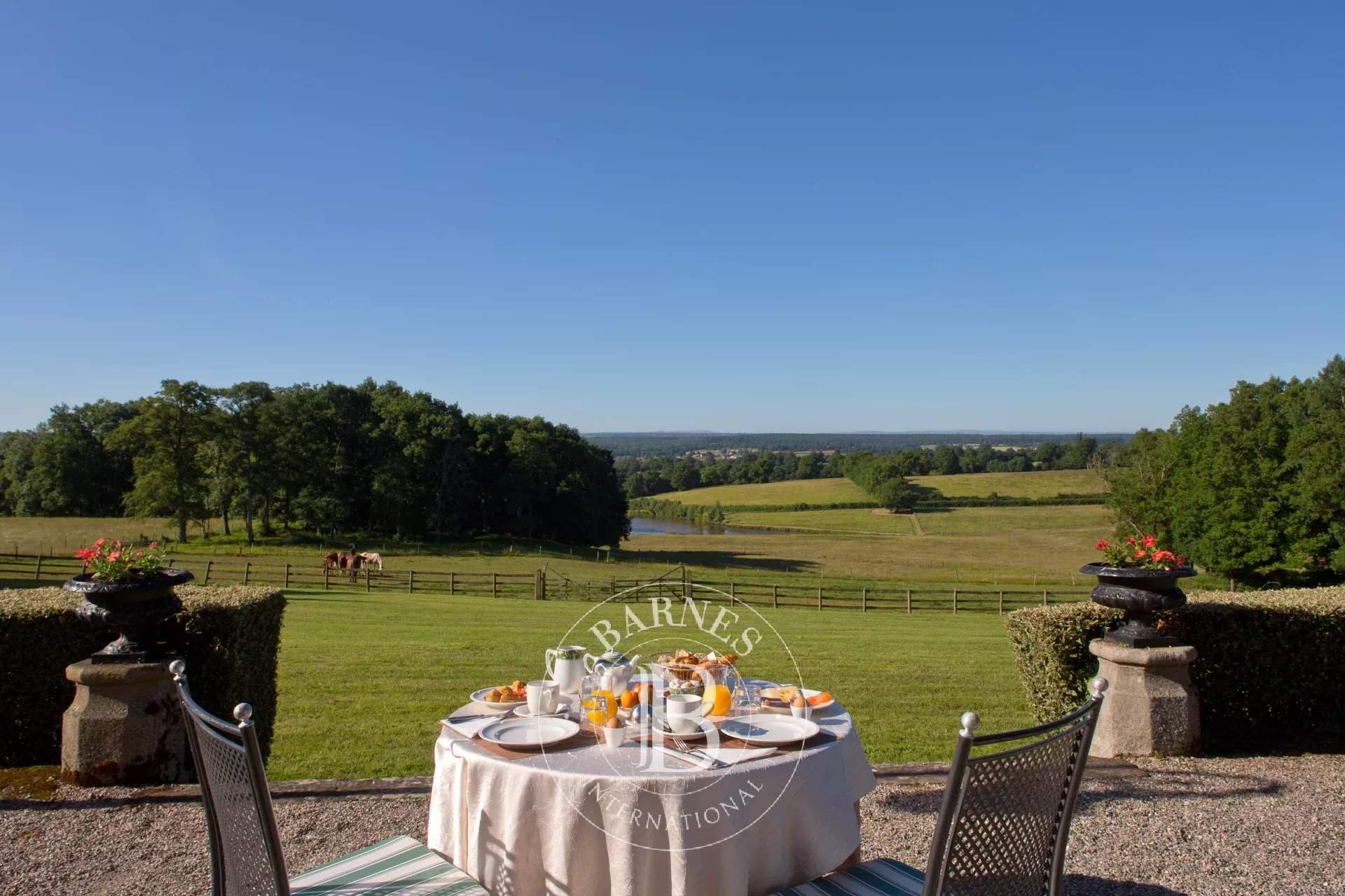 Ygrande  - Domaine équestre  - picture 15