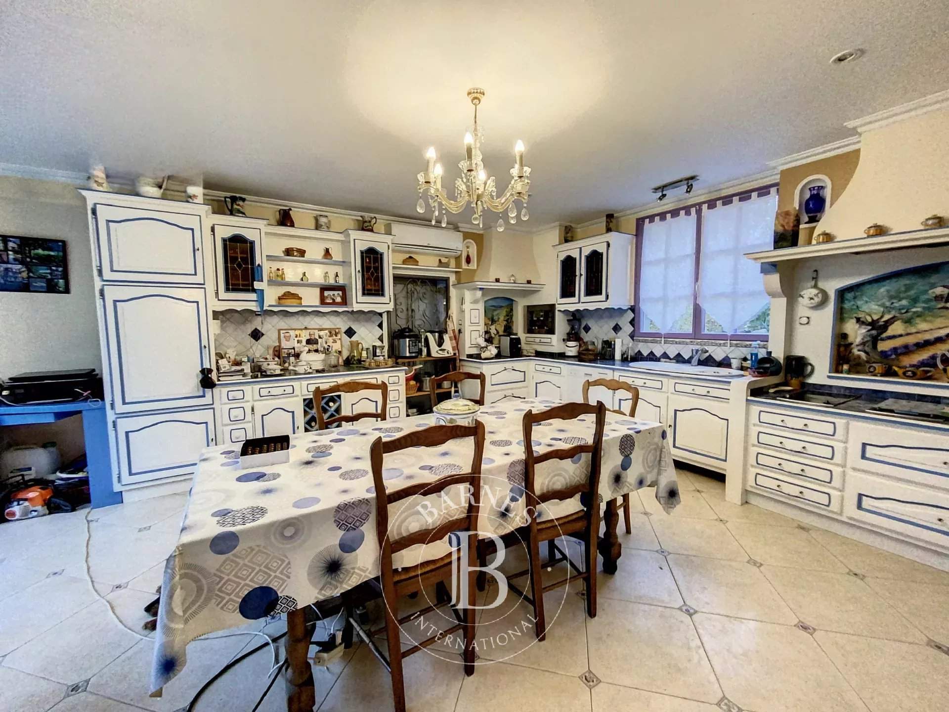 Le Blanc  - Manor house 7 Bedrooms - picture 7