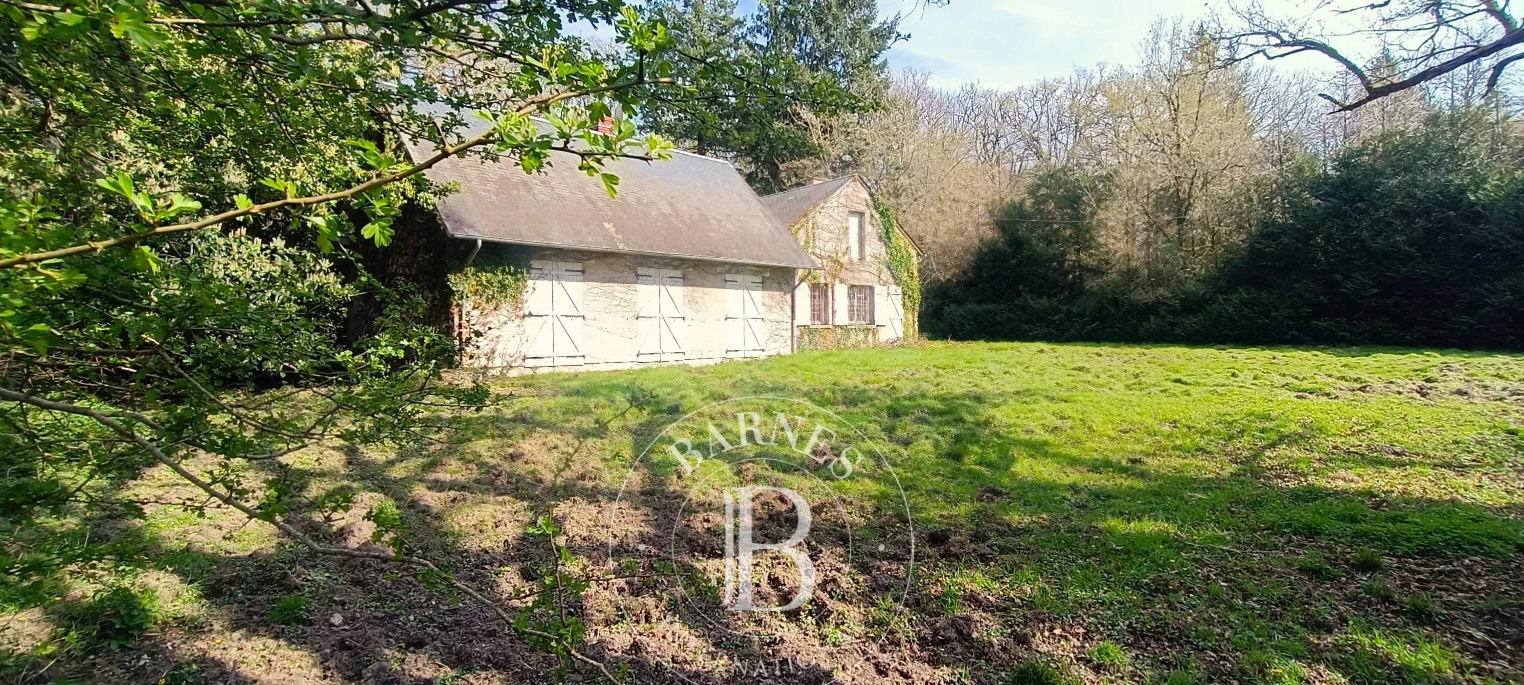 Salbris  - Domaine de chasse 10 Pi&egrave;ces 4 Chambres - picture 3