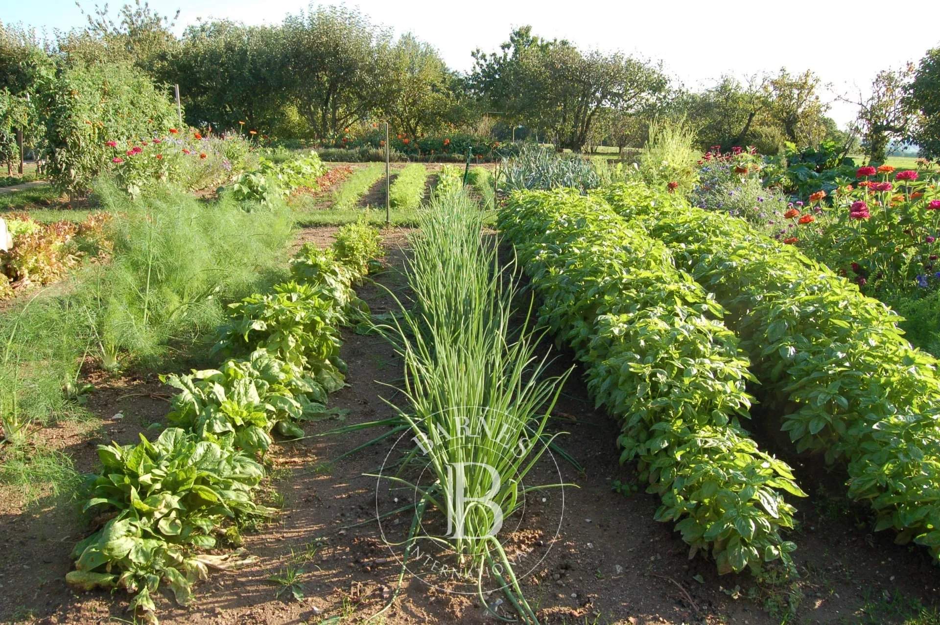 Ygrande  - Domaine équestre  - picture 18