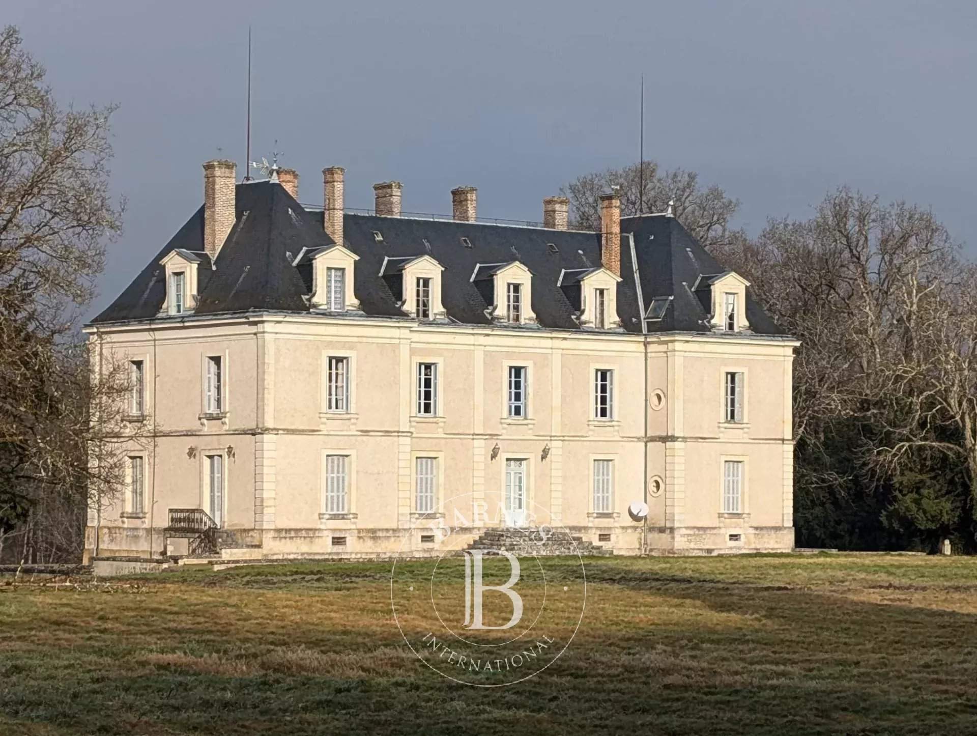 Mur-de-Sologne  - Château 55 Pièces - picture 2