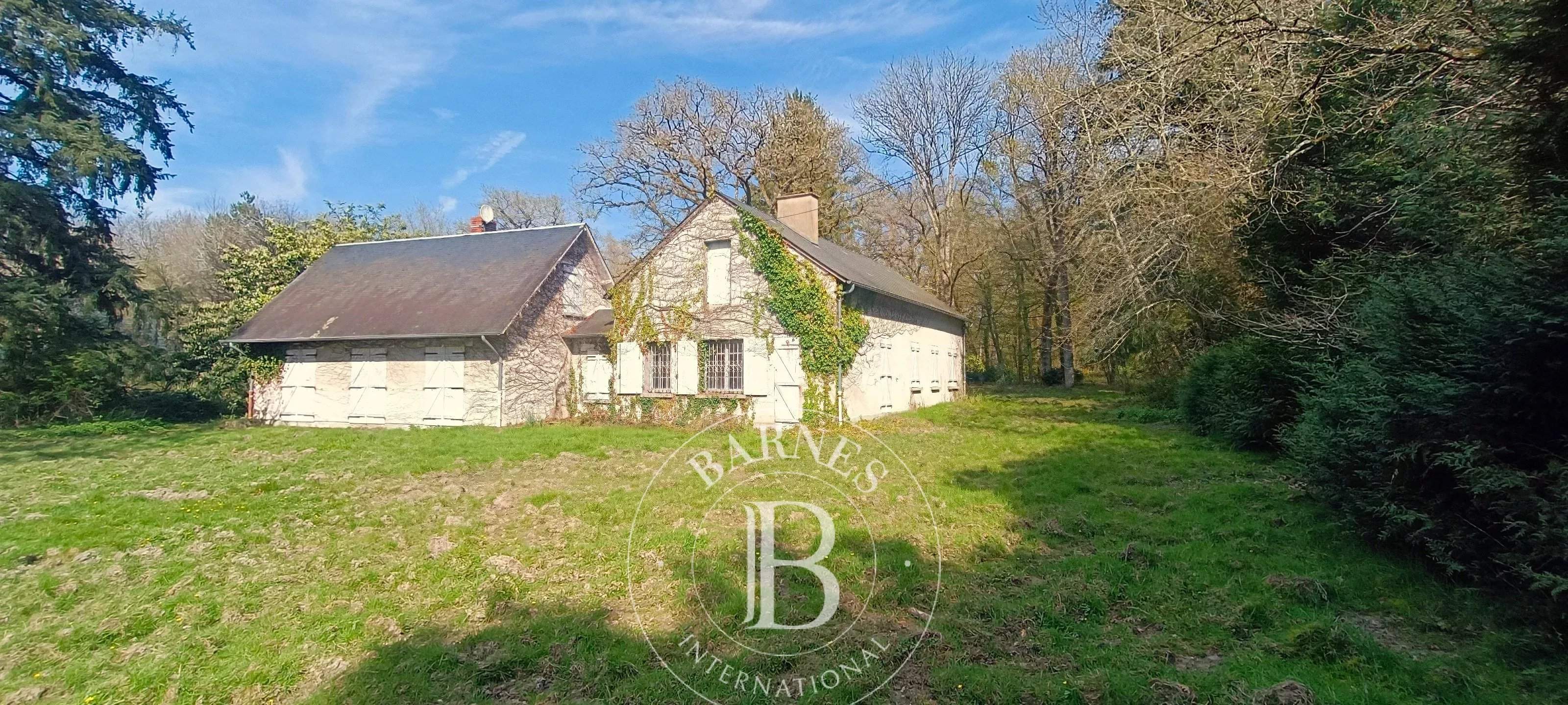 Salbris  - Domaine de chasse 10 Pi&egrave;ces 4 Chambres - picture 4