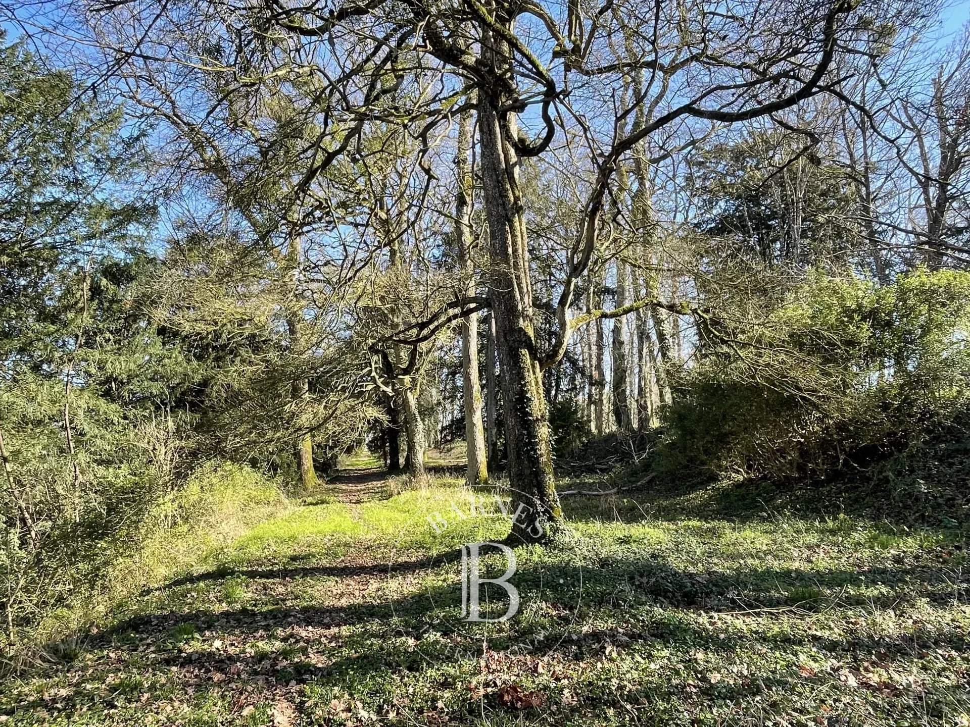 Amboise  - Castle 6 Bedrooms - picture 8