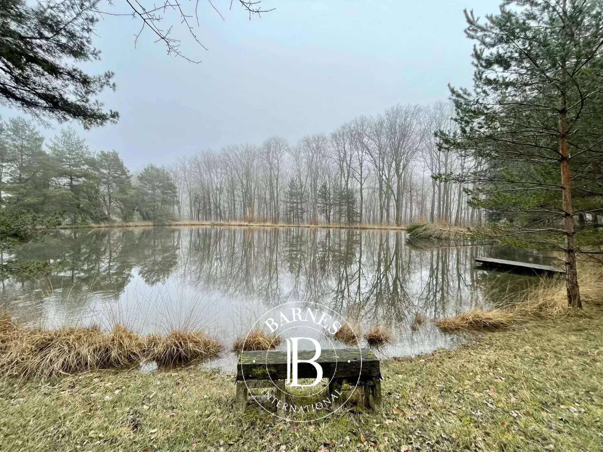 Neuvy-sur-Barangeon  - Property 1 Bedroom - picture 10