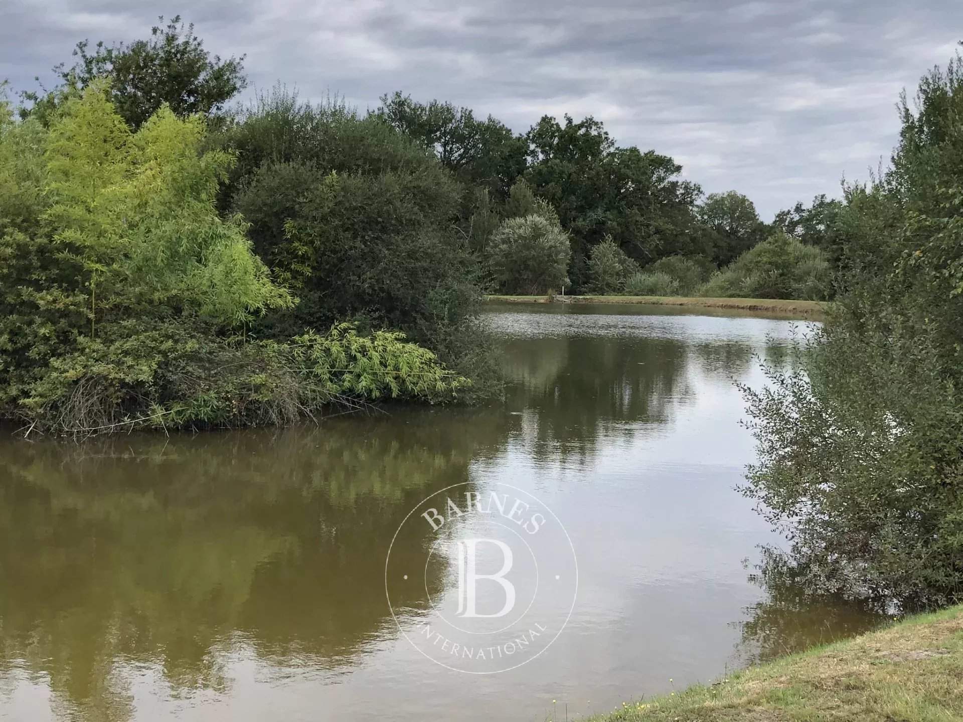 Neuvy-sur-Barangeon  - Property 4 Bedrooms - picture 9