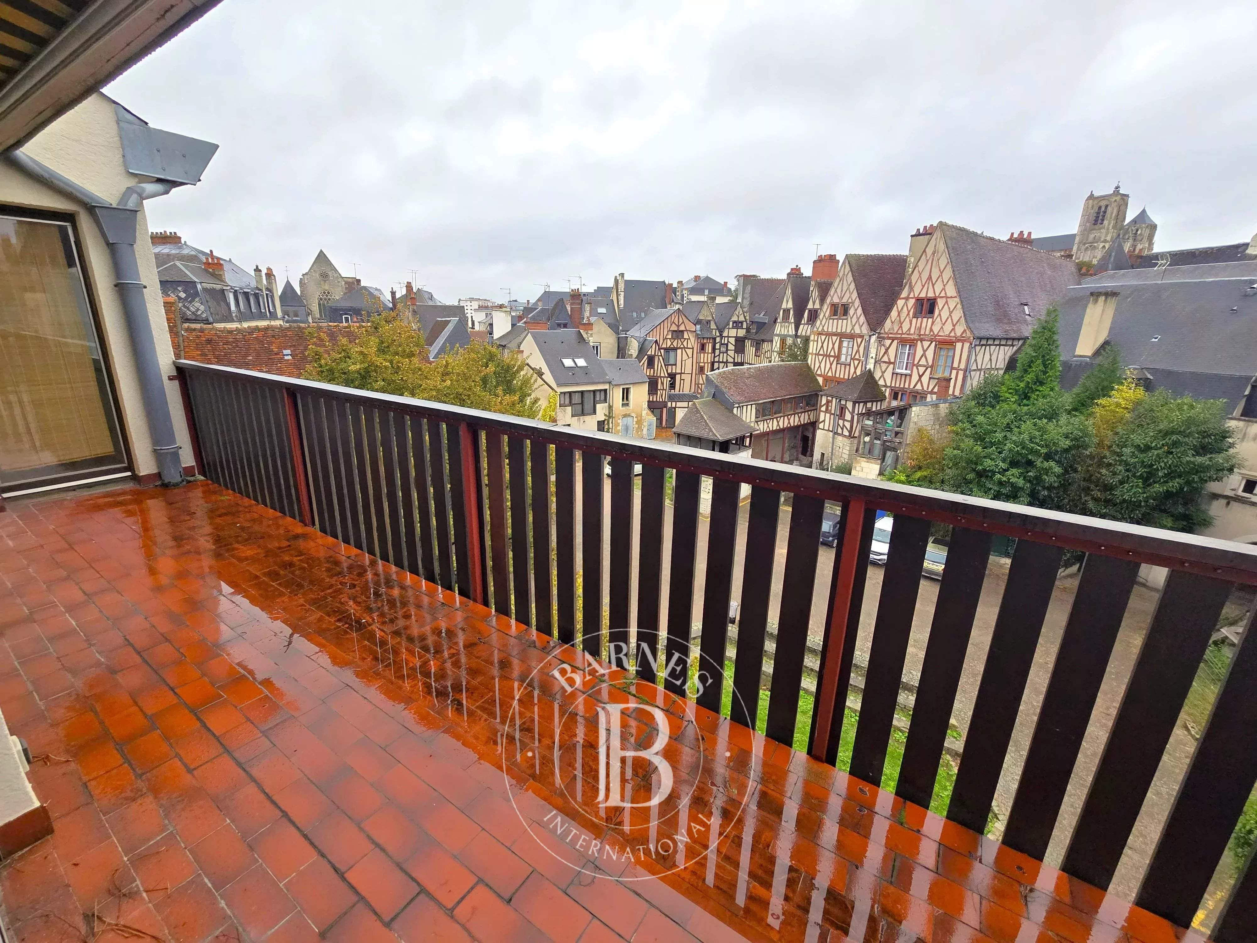 Bourges  - Triplex 6 Pi&egrave;ces 4 Chambres - picture 11