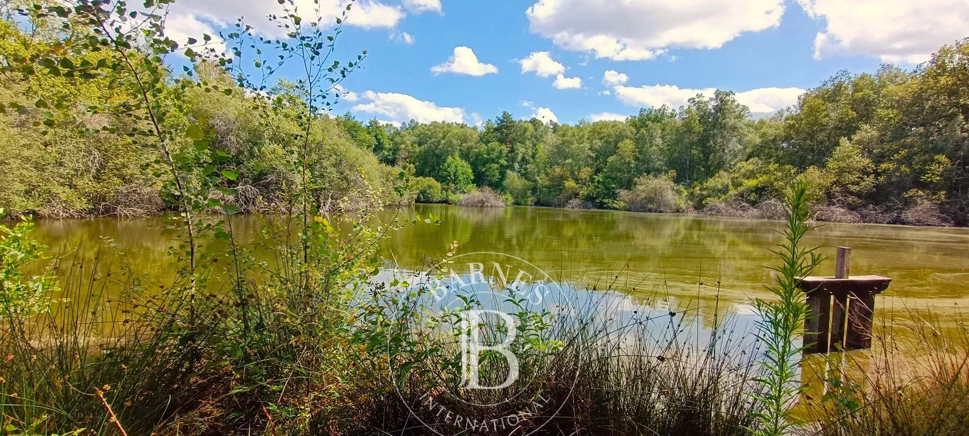 Lamotte-Beuvron  - Domaine de chasse 7 Pi&egrave;ces 4 Chambres - picture 1