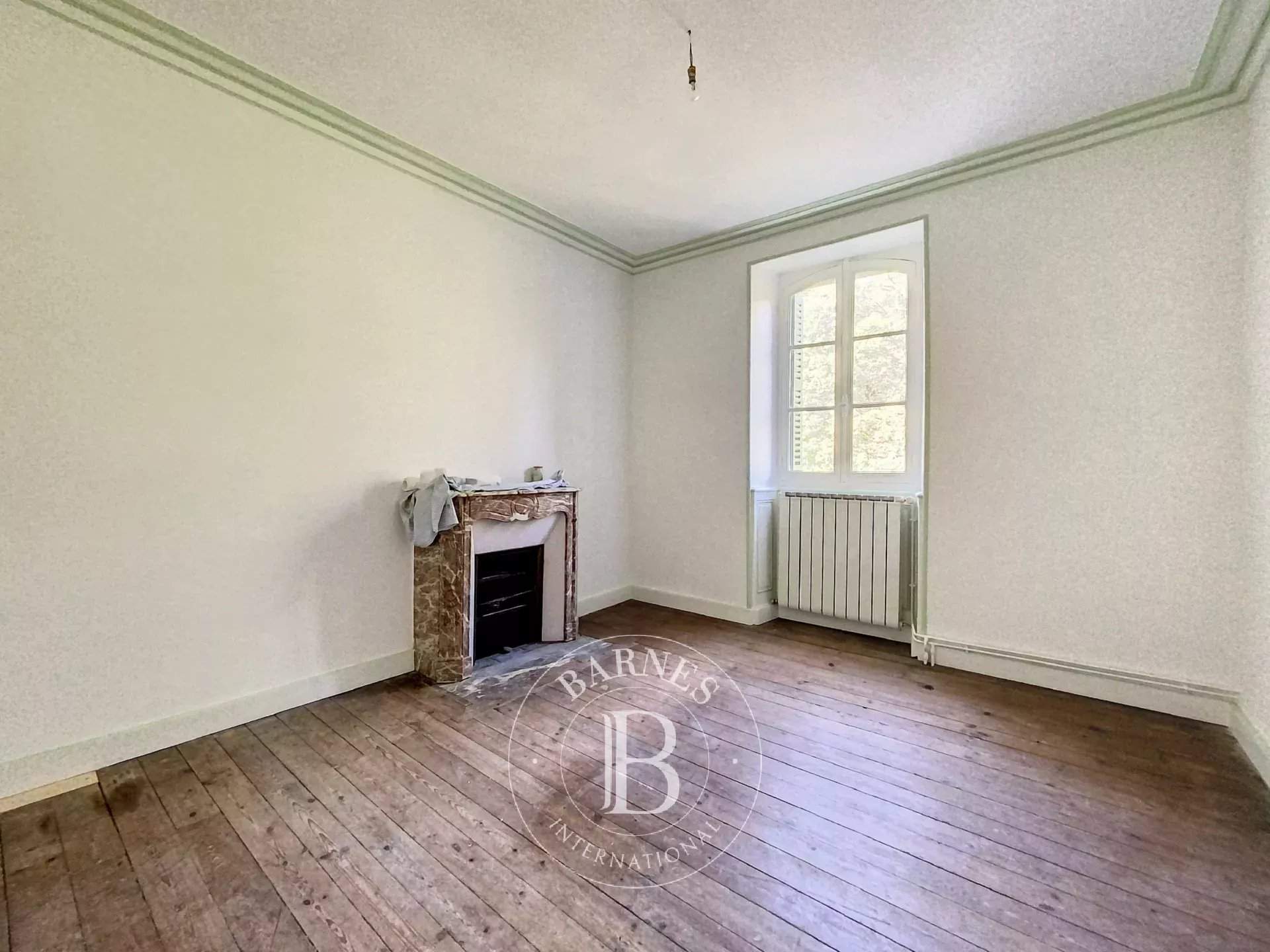 Le Blanc  - Manor house 7 Bedrooms - picture 10