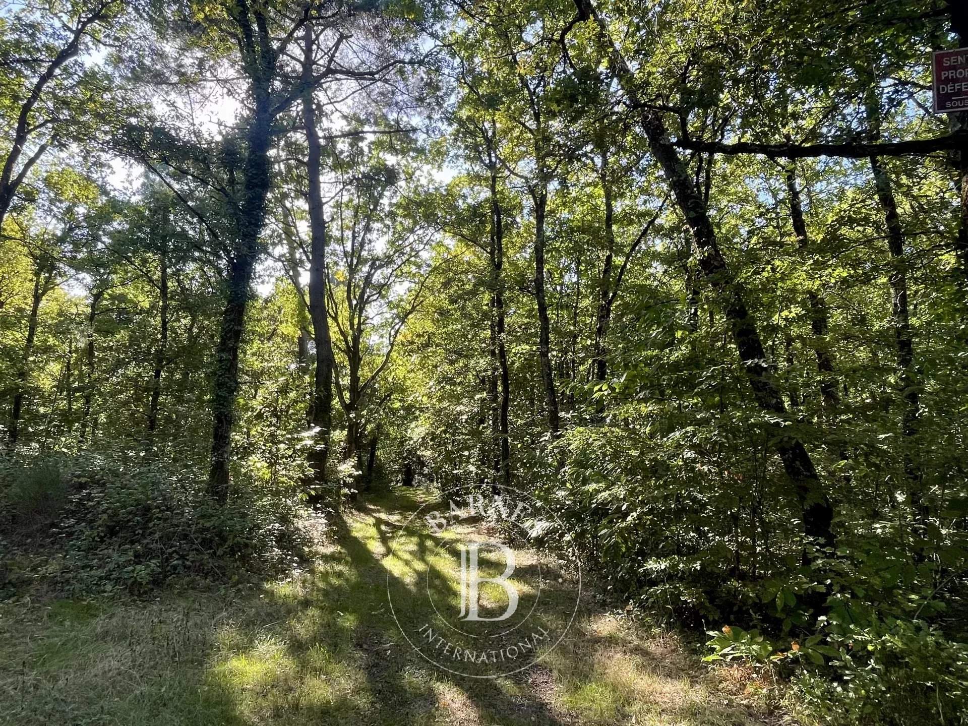 Tours  - Propriété 12 Pi&egrave;ces 5 Chambres - picture 11