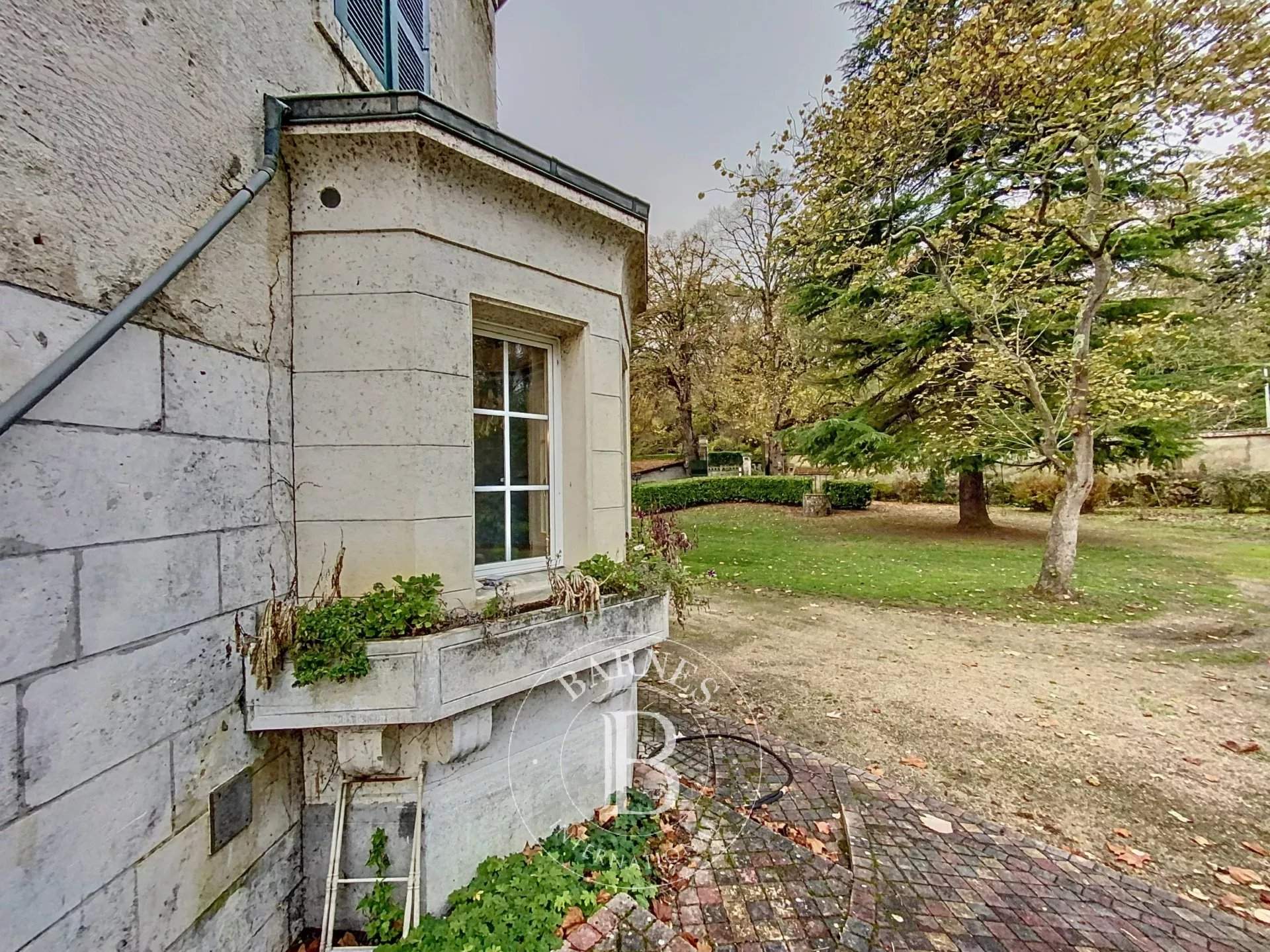 Le Blanc  - Manor house 7 Bedrooms - picture 18