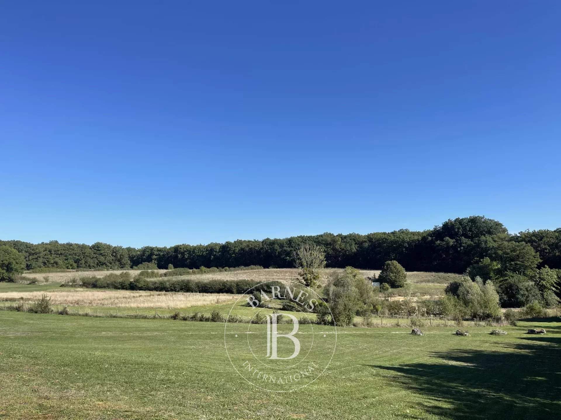 Tours  - Propriété 12 Pi&egrave;ces 5 Chambres - picture 8