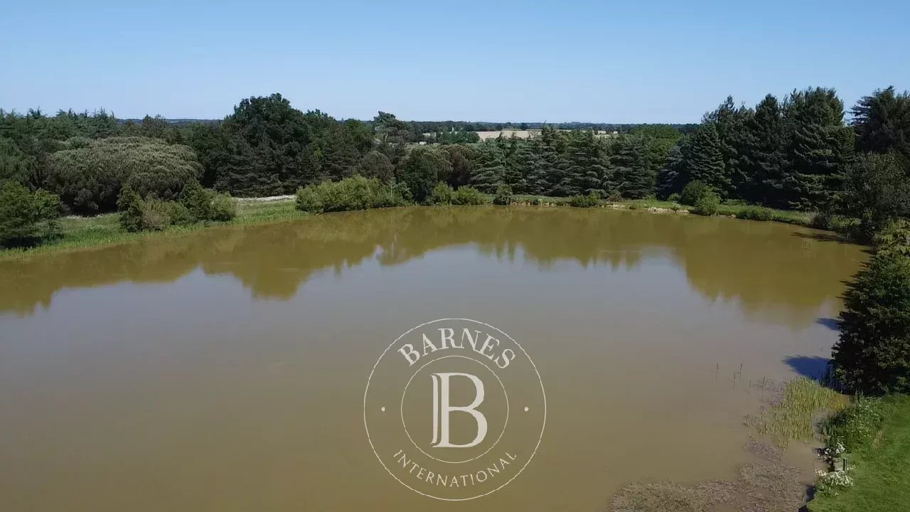 Chazé-sur-Argos  - Castle 15 Bedrooms - picture 18