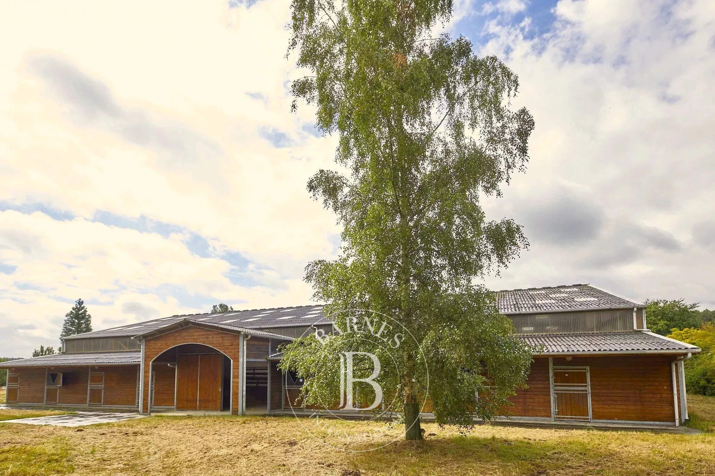 Baugé-en-Anjou  - Domaine équestre 12 Pi&egrave;ces 7 Chambres - picture 17