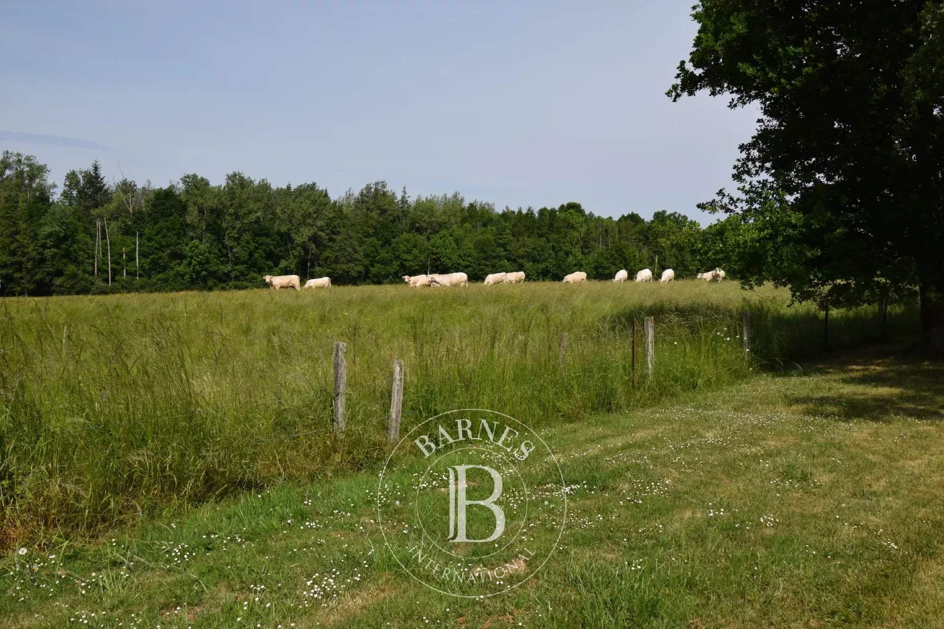 Yzeure  - Finca 18 Cuartos 11 Habitaciones - picture 15