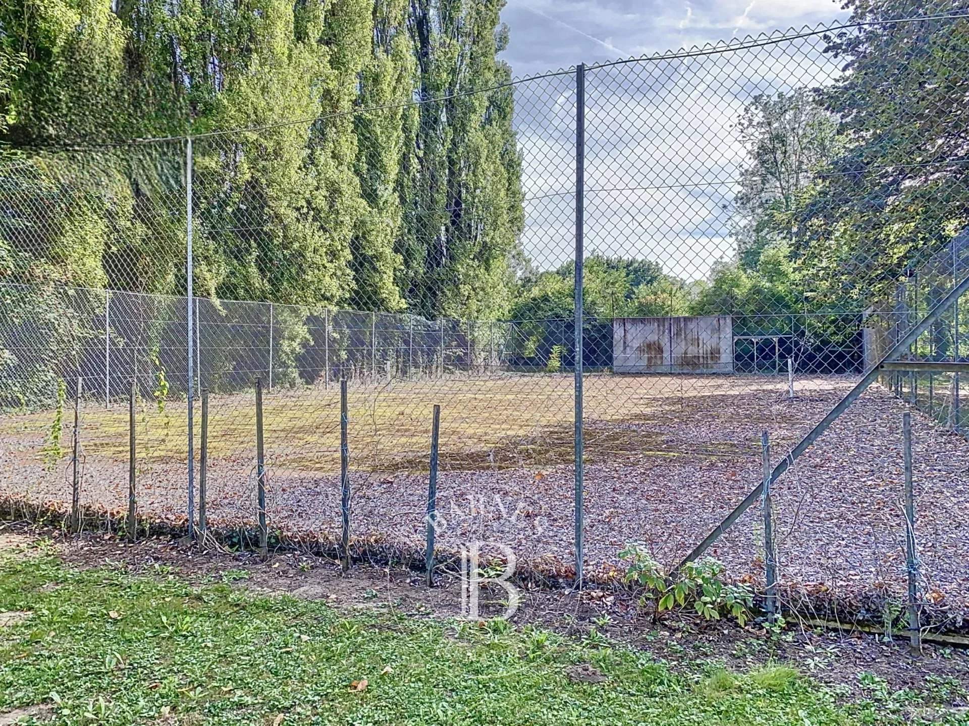 Le Blanc  - Manor house 7 Bedrooms - picture 13