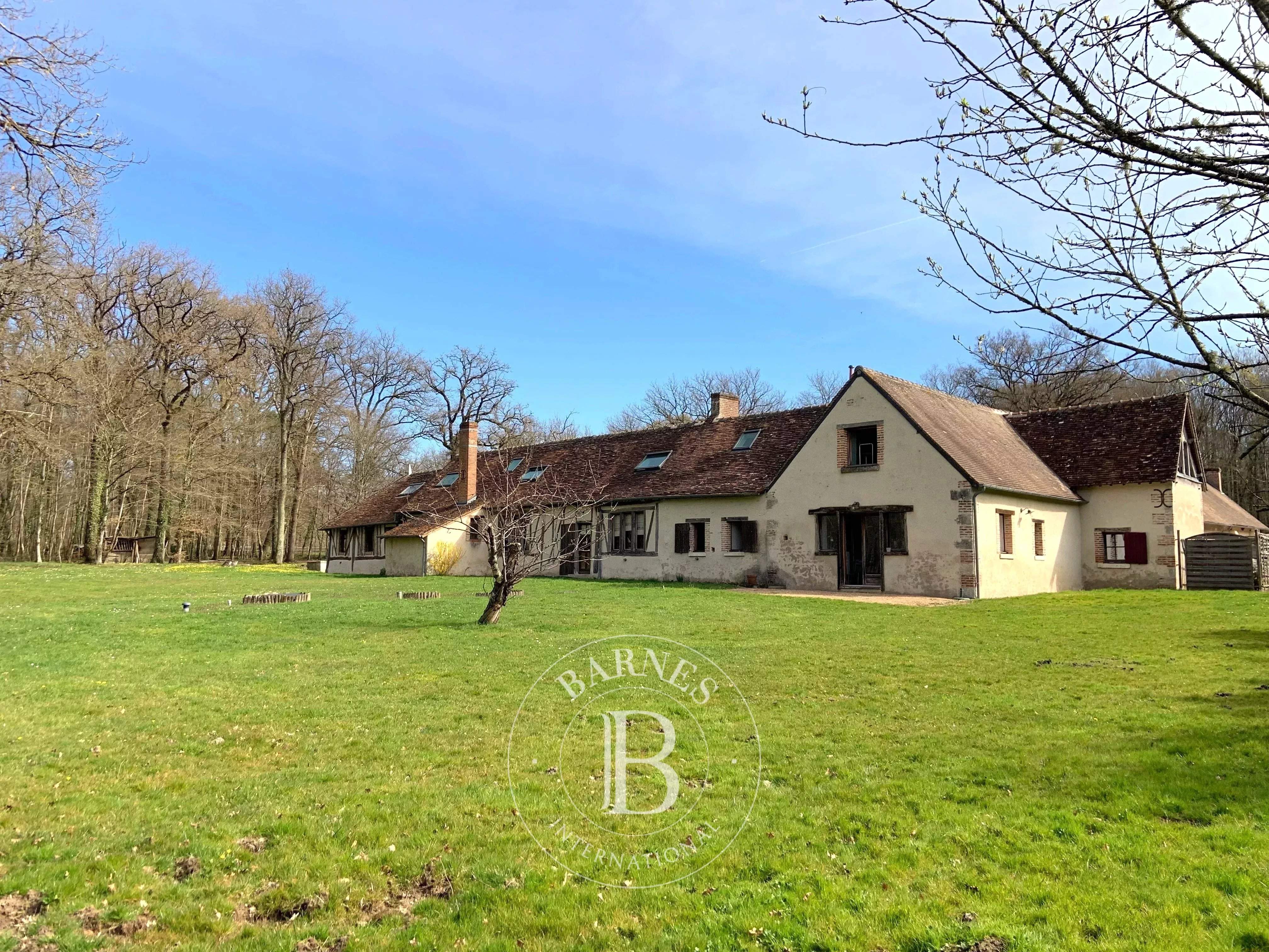 Cheverny  - Fermette 13 Pi&egrave;ces 8 Chambres - picture 4