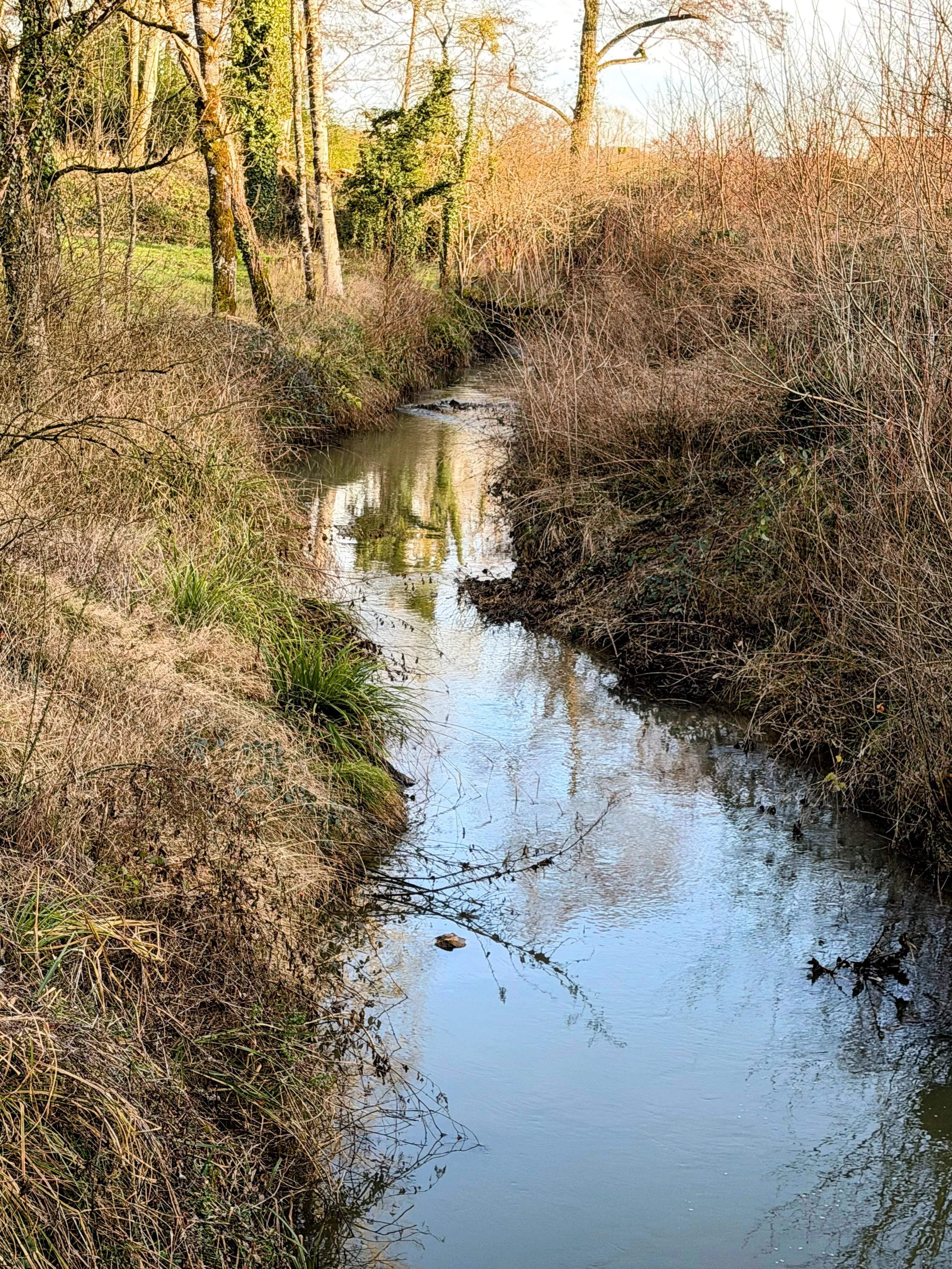 Beaumont-Sardolles  - Manoir 17 Pi&egrave;ces 9 Chambres - picture 7