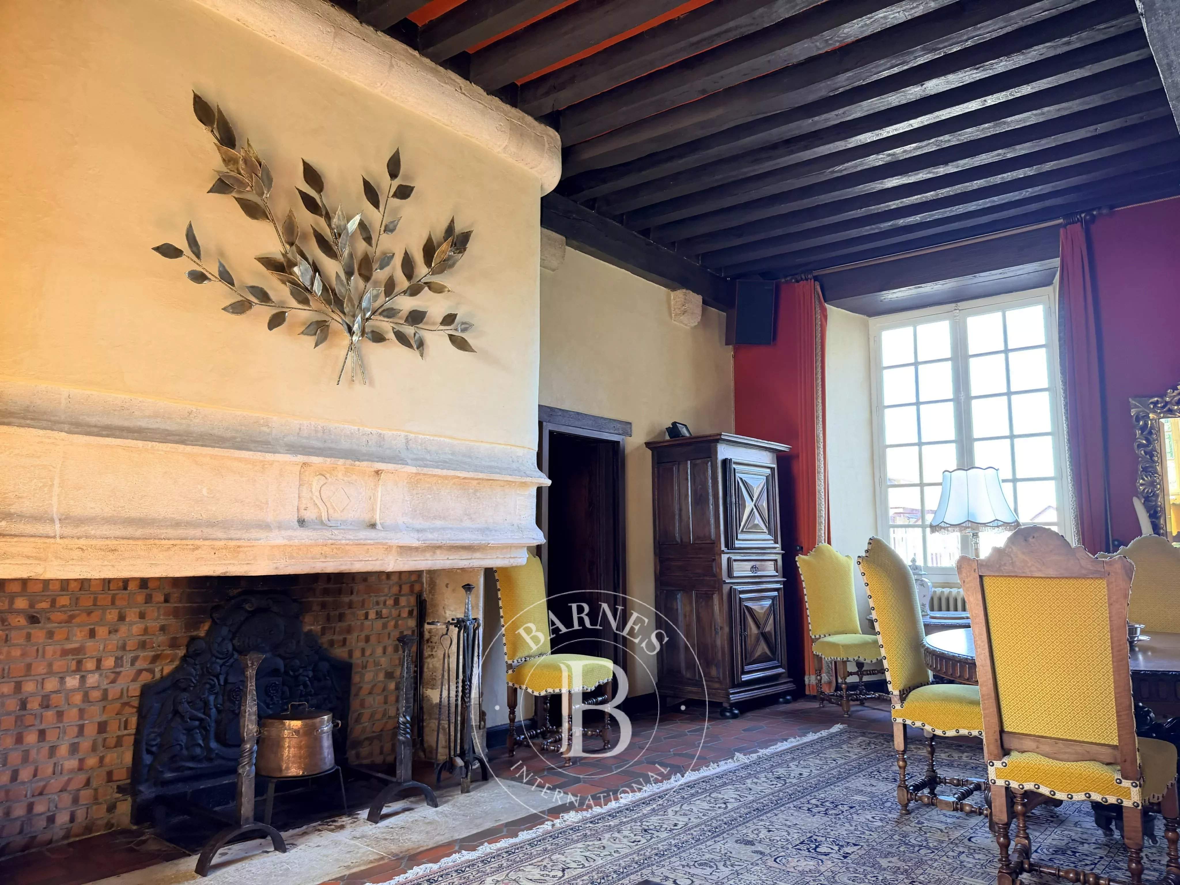 Saint-Georges-de-Poisieux  - Château 12 Pi&egrave;ces 8 Chambres - picture 17