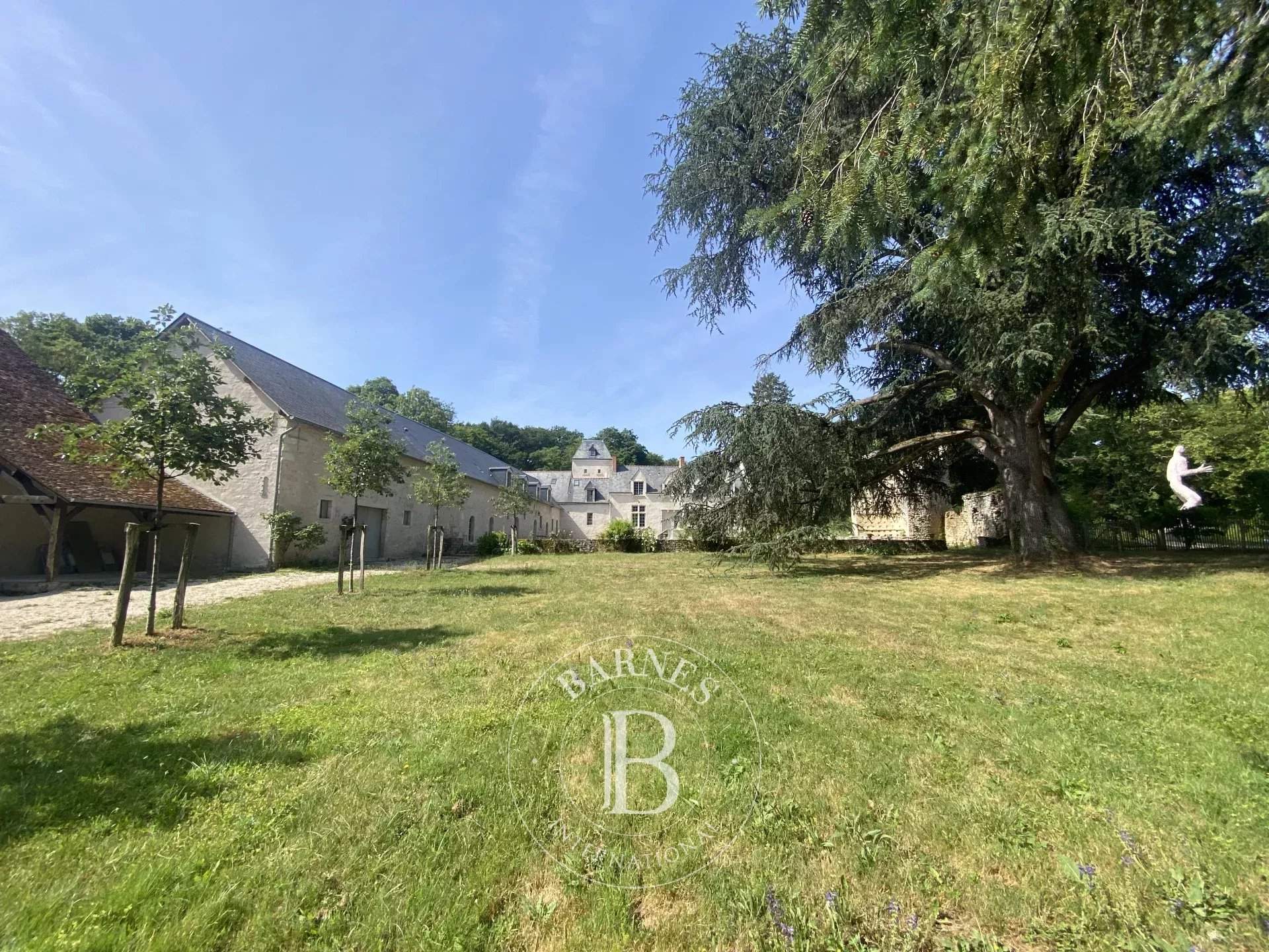 Cellettes  - Castle  - picture 8