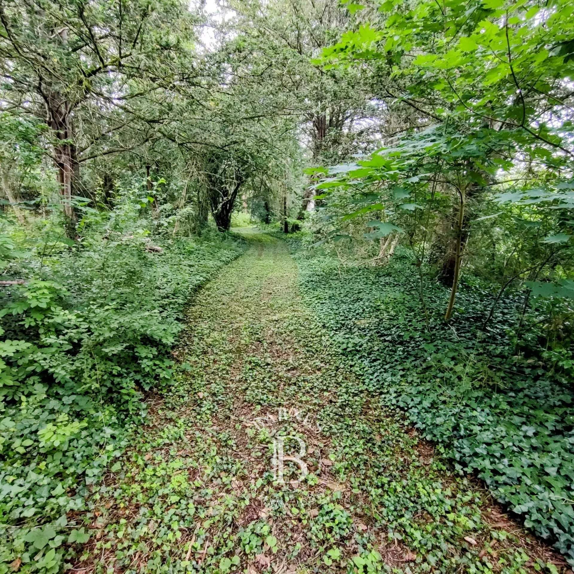 Clamecy  - Propriété 14 Pi&egrave;ces 5 Chambres - picture 12