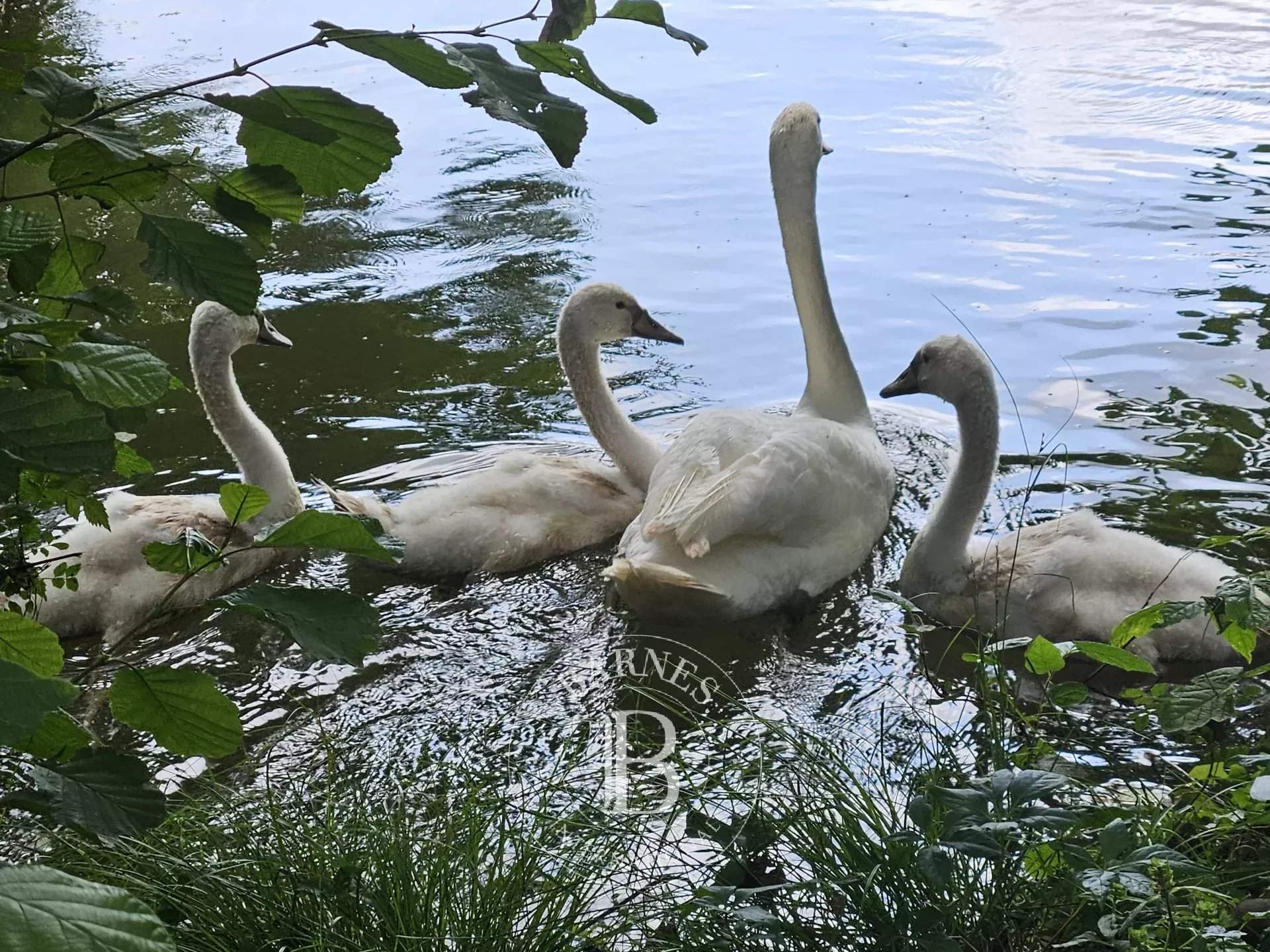 Noyen-sur-Sarthe  - House 5 Bedrooms - picture 5