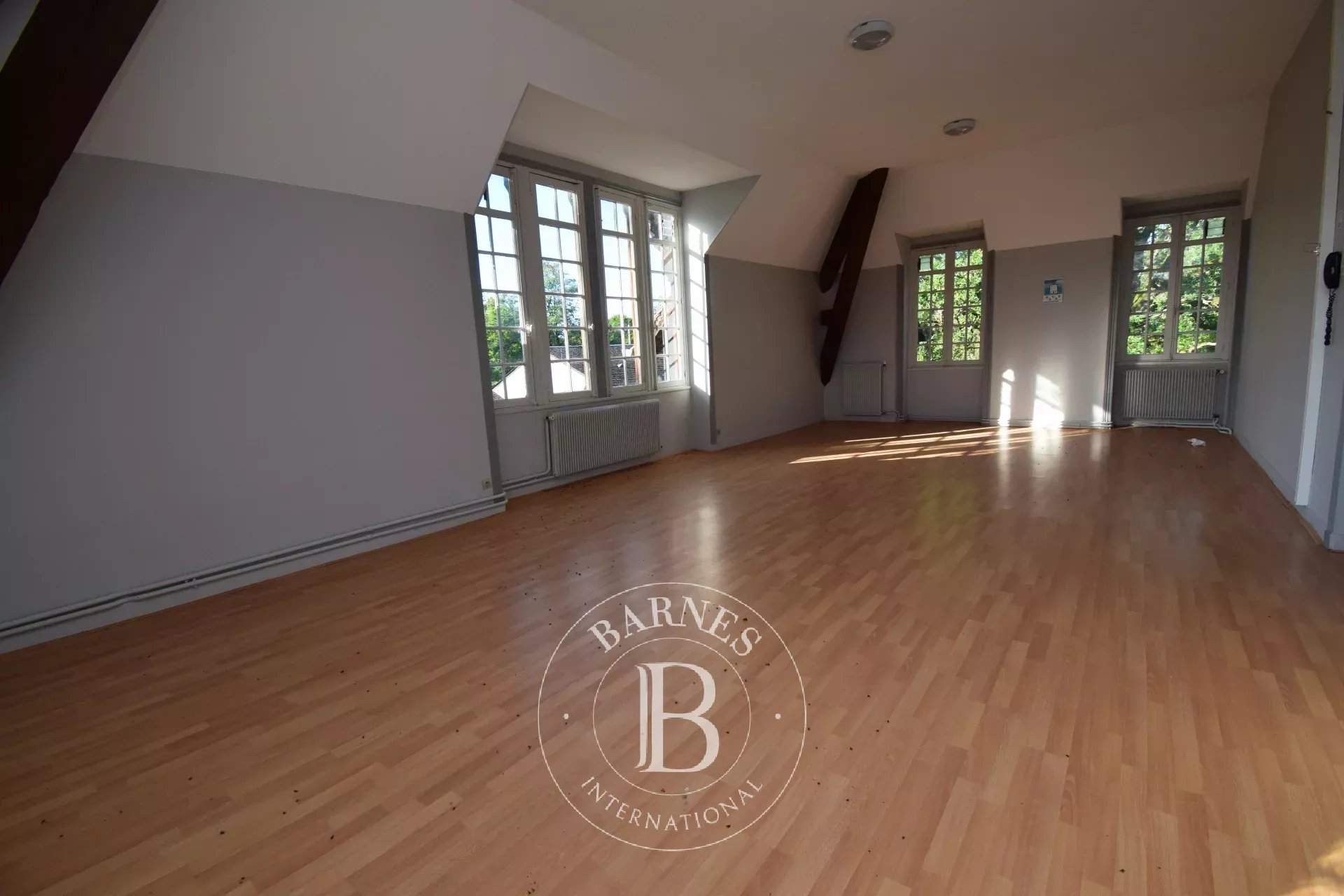 Nançay  - Finca  - picture 9