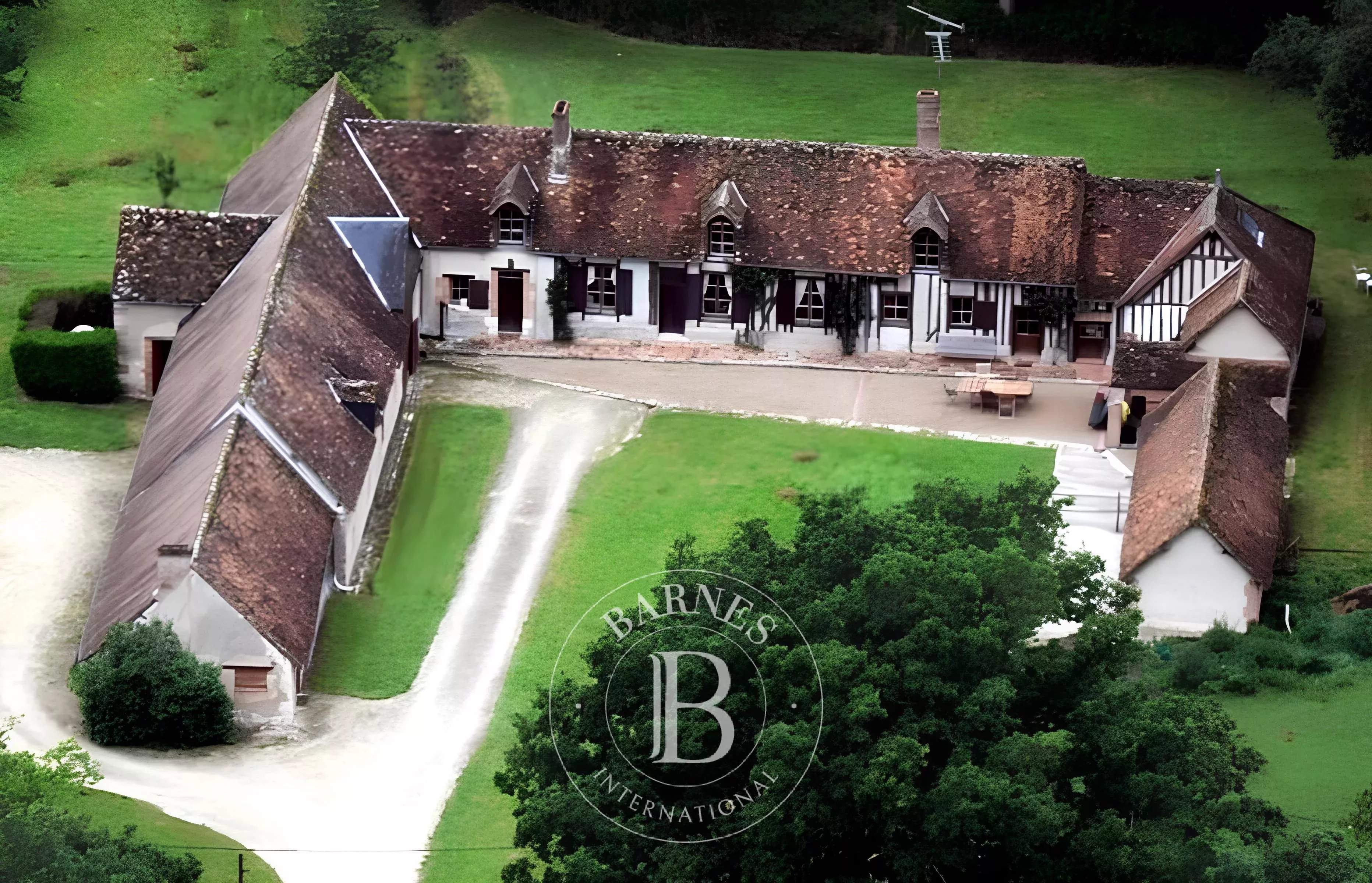 Cheverny  - Fermette 13 Pi&egrave;ces 8 Chambres - picture 17