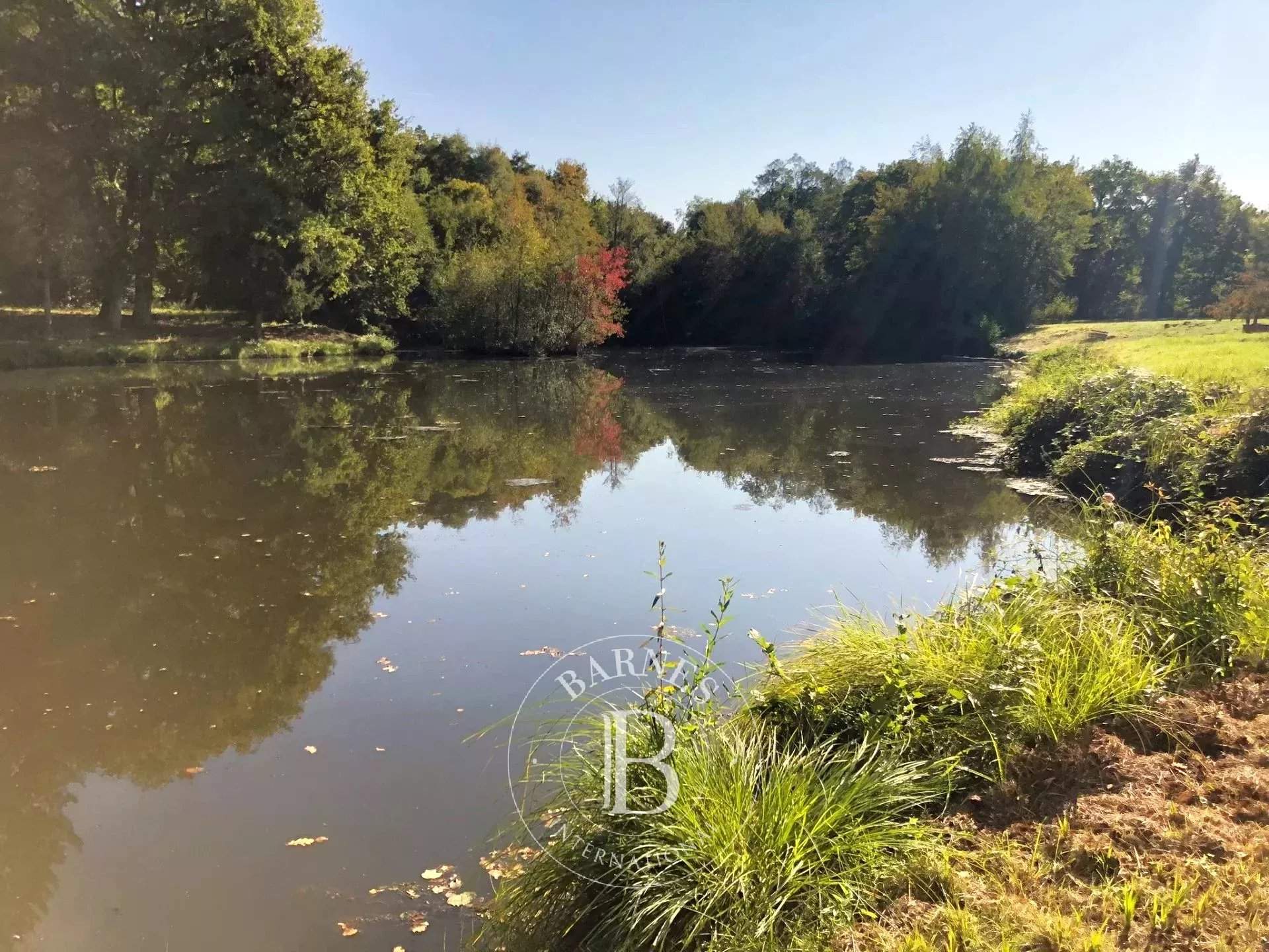 Aubigny-sur-Nère  - Property 4 Bedrooms - picture 6