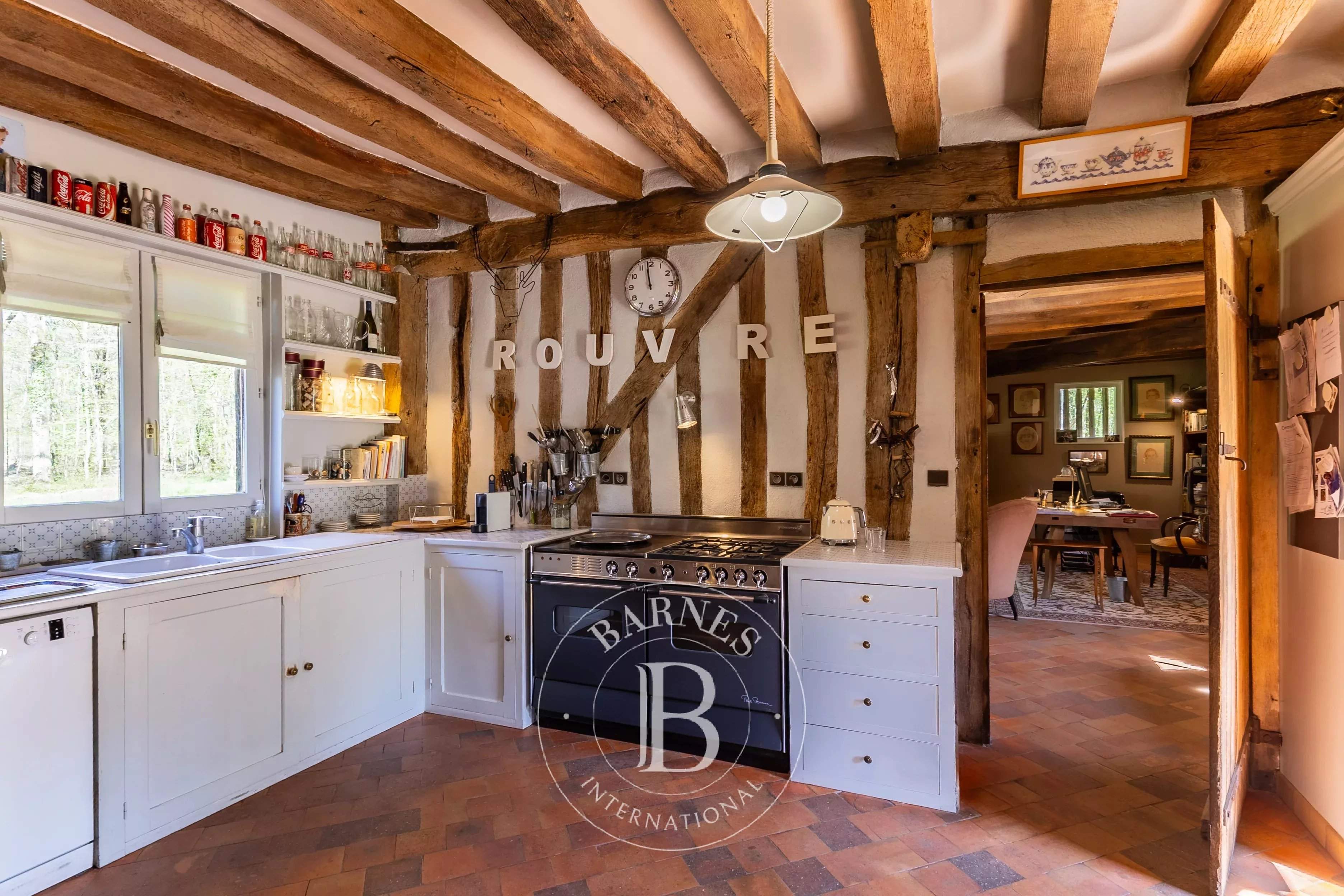 Cheverny  - Fermette 13 Pi&egrave;ces 8 Chambres - picture 5