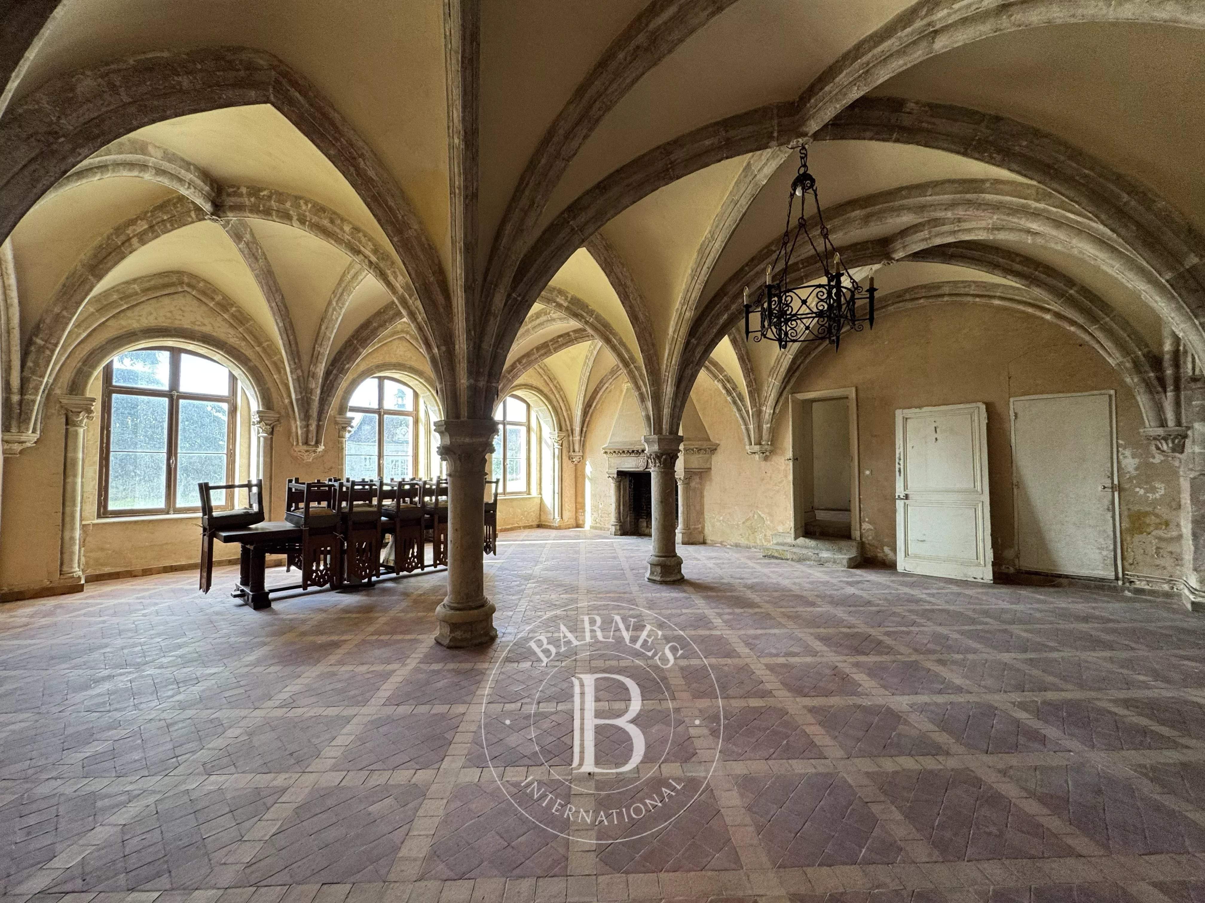 Vendôme  - Château  - picture 9