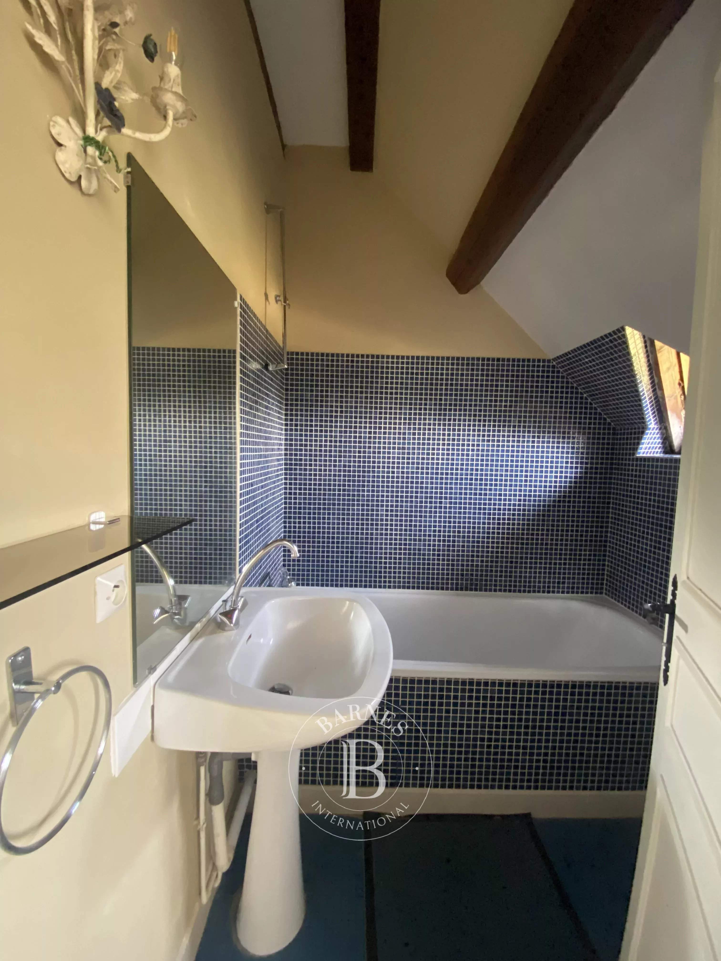 Savigny-sur-Braye  - House 10 Bedrooms - picture 8