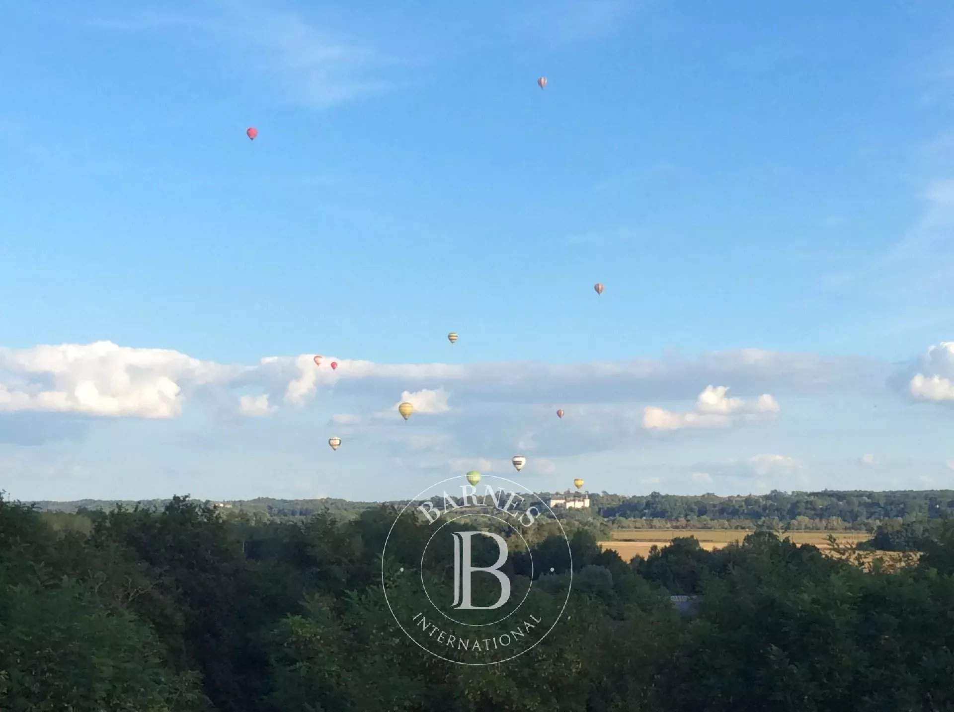 Veuzain-sur-Loire  - Village house 6 Bedrooms - picture 19