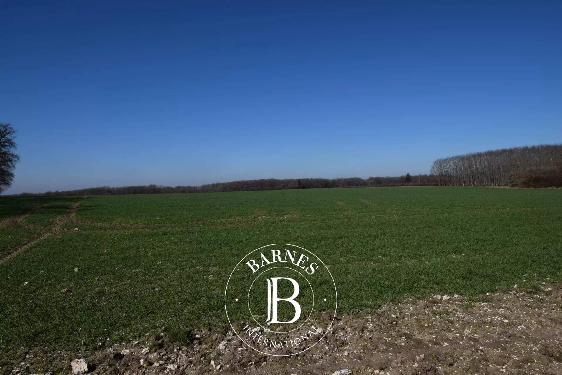 Neuvy-sur-Barangeon  - Property 1 Bedroom - picture 8