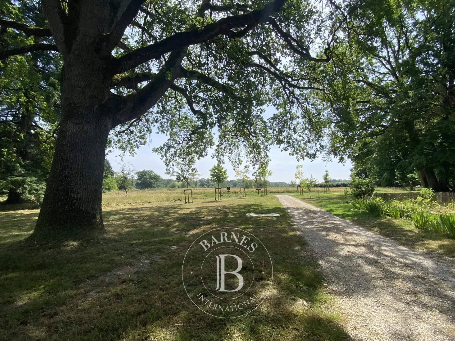 Cellettes  - Castle  - picture 4