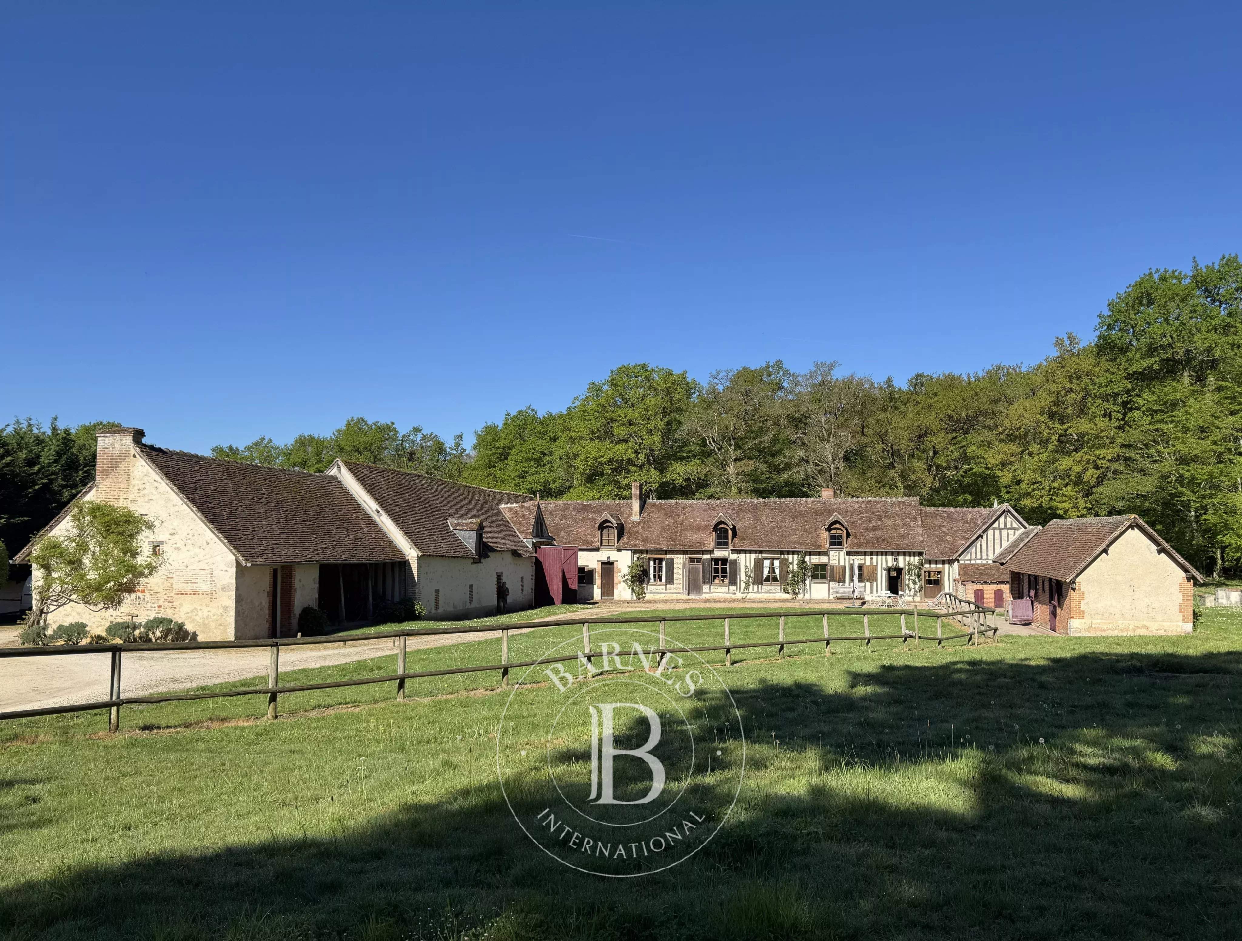 Cheverny  - Fermette 13 Pi&egrave;ces 8 Chambres - picture 2