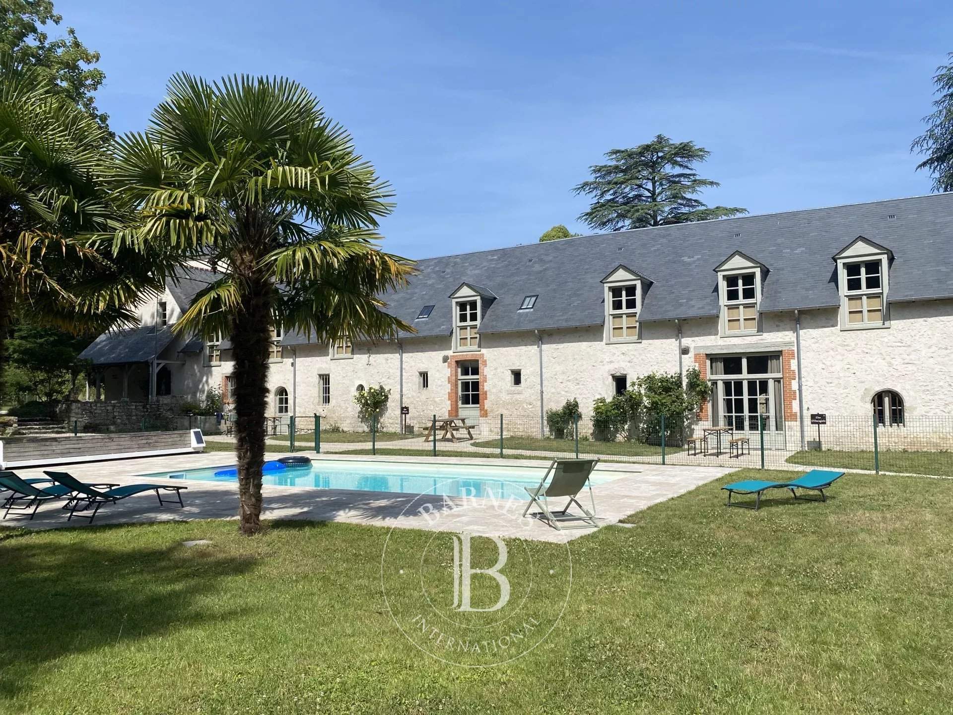 Cellettes  - Castle  - picture 7