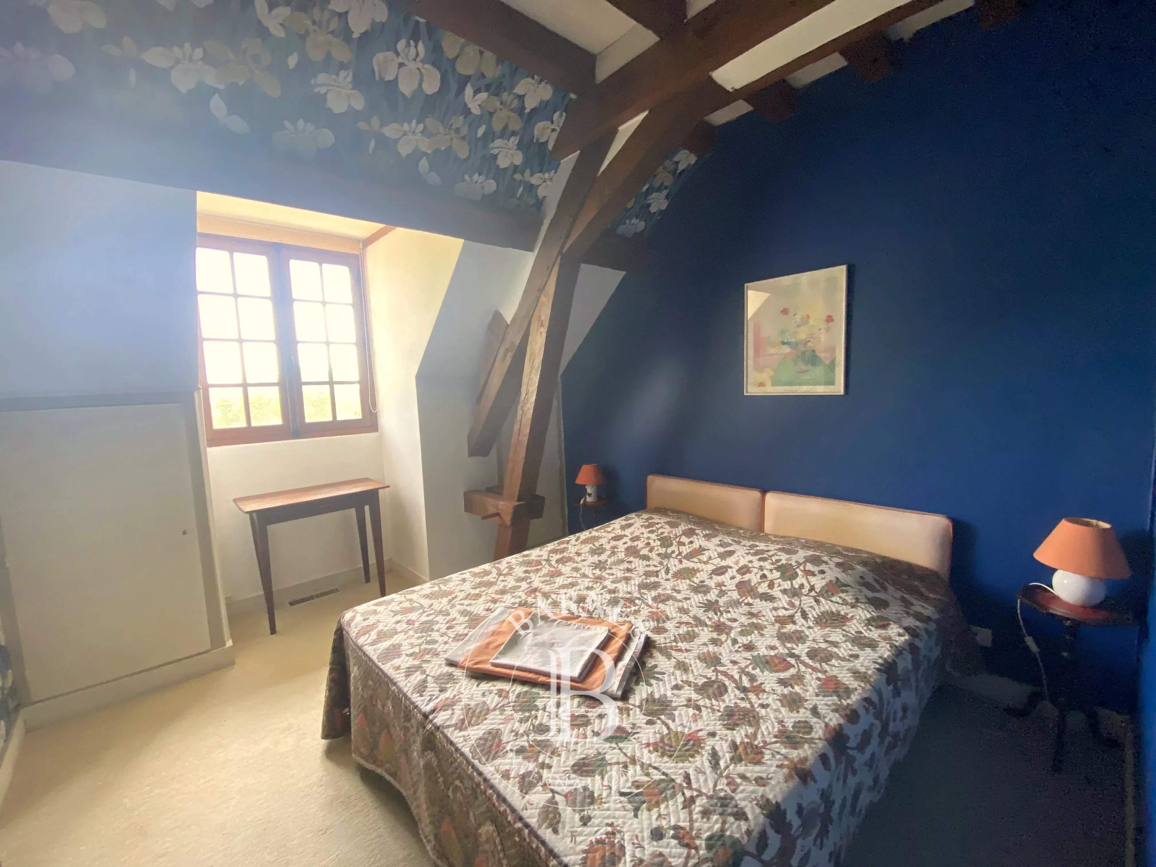 Savigny-sur-Braye  - Maison 14 Pi&egrave;ces 10 Chambres - picture 11