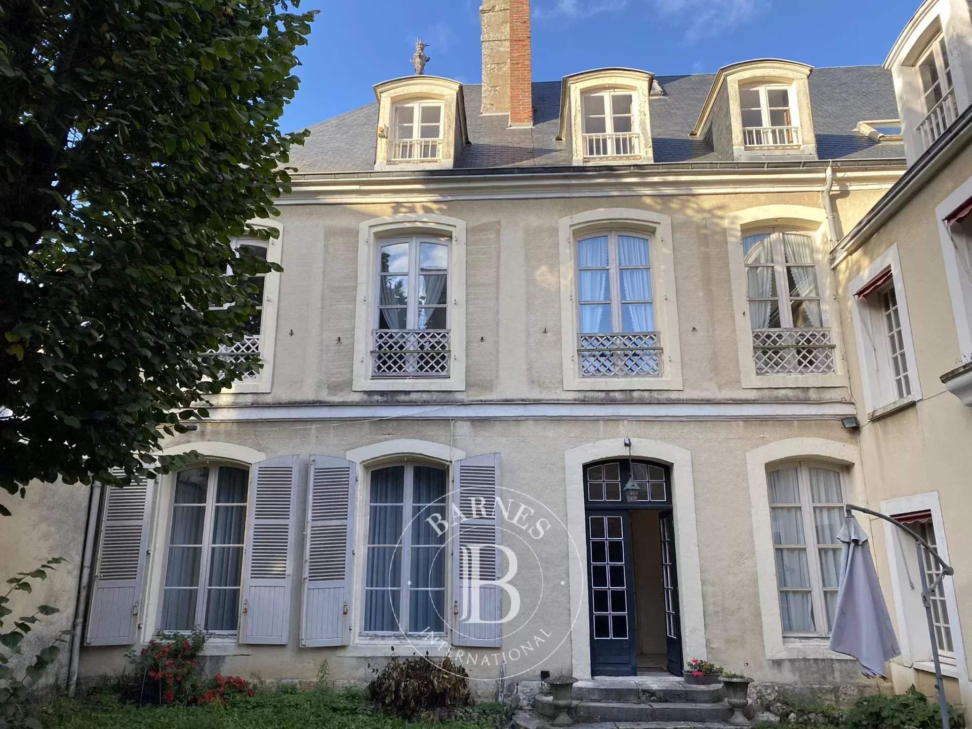 Châteaudun  - Hôtel particulier 12 Pièces 7 Chambres - picture 4