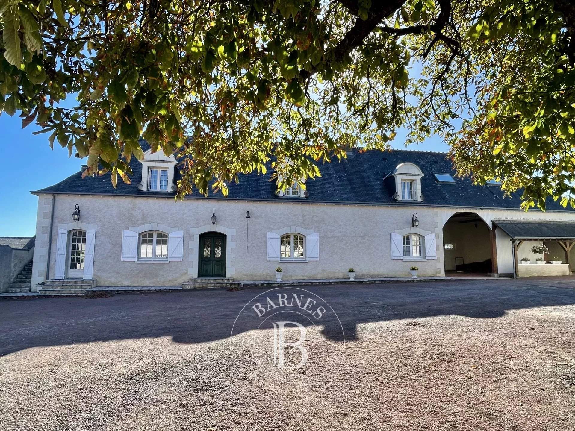 Tours  - Propriété 12 Pi&egrave;ces 5 Chambres - picture 12